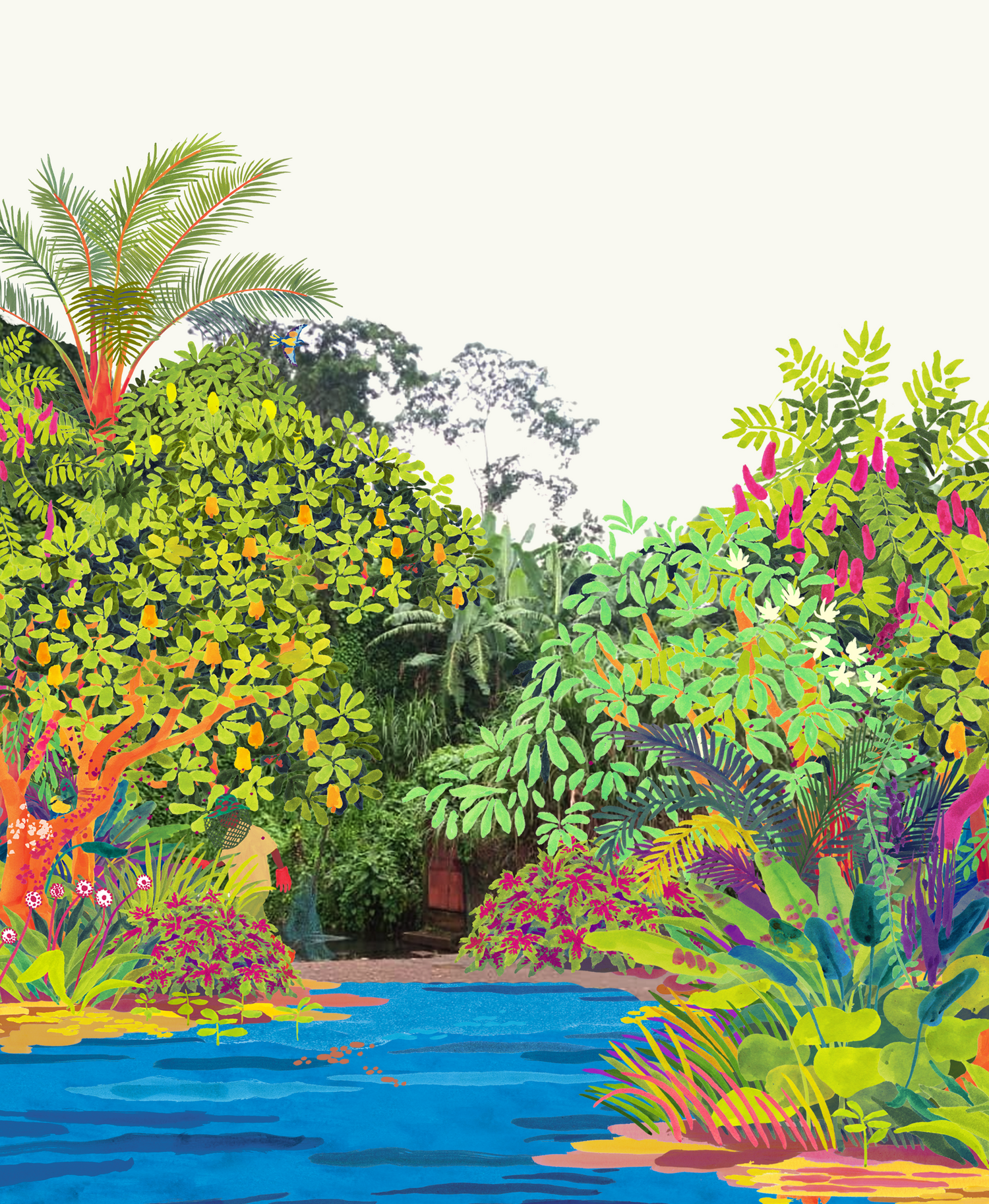 Plant forest in Cameroon, Africa.