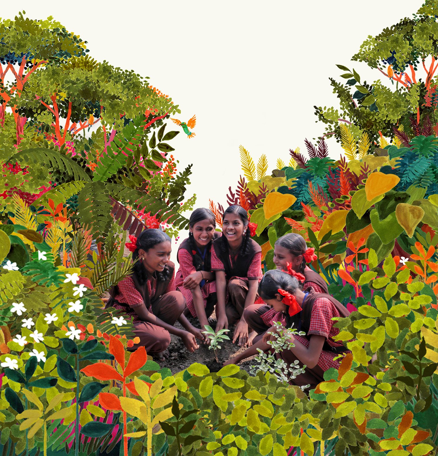 Sustainability projects in schools in India.