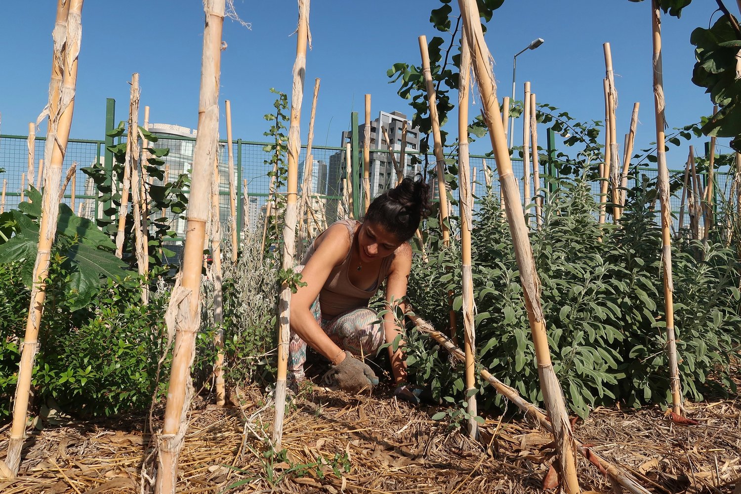 a woman kneels in the dirt next to plants