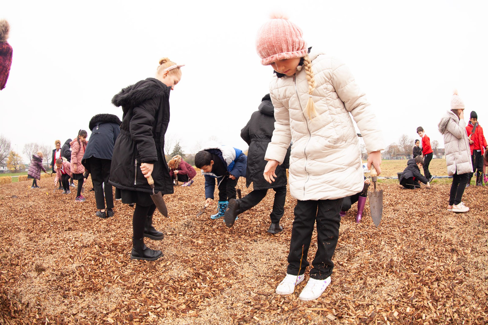 children stand in a field planting tree saplings