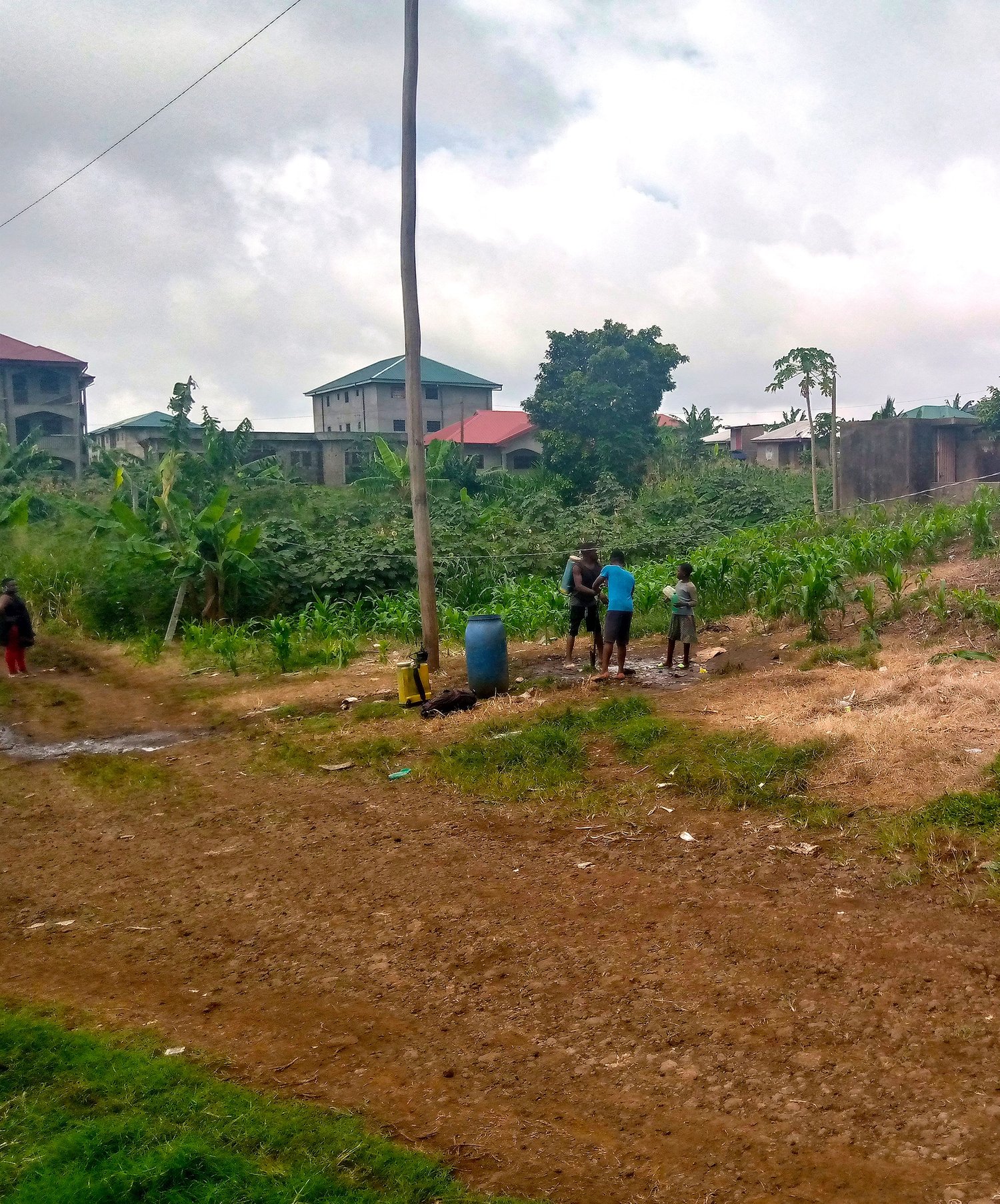 Rewilding cameroon