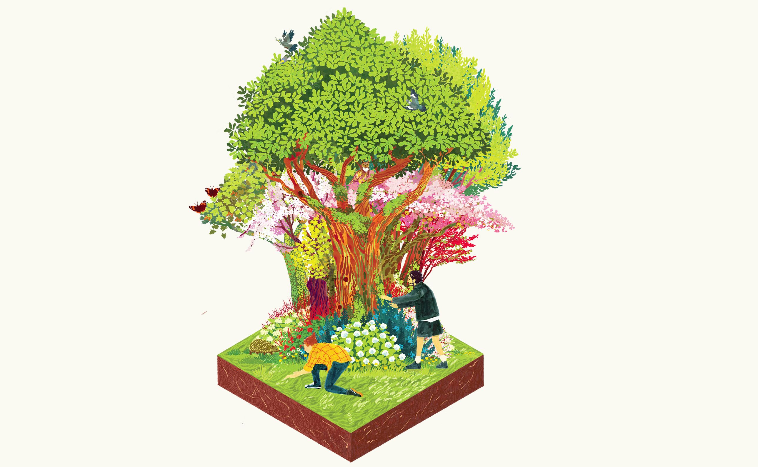 Planting trees on earth - Stock Illustration [5675011] - PIXTA