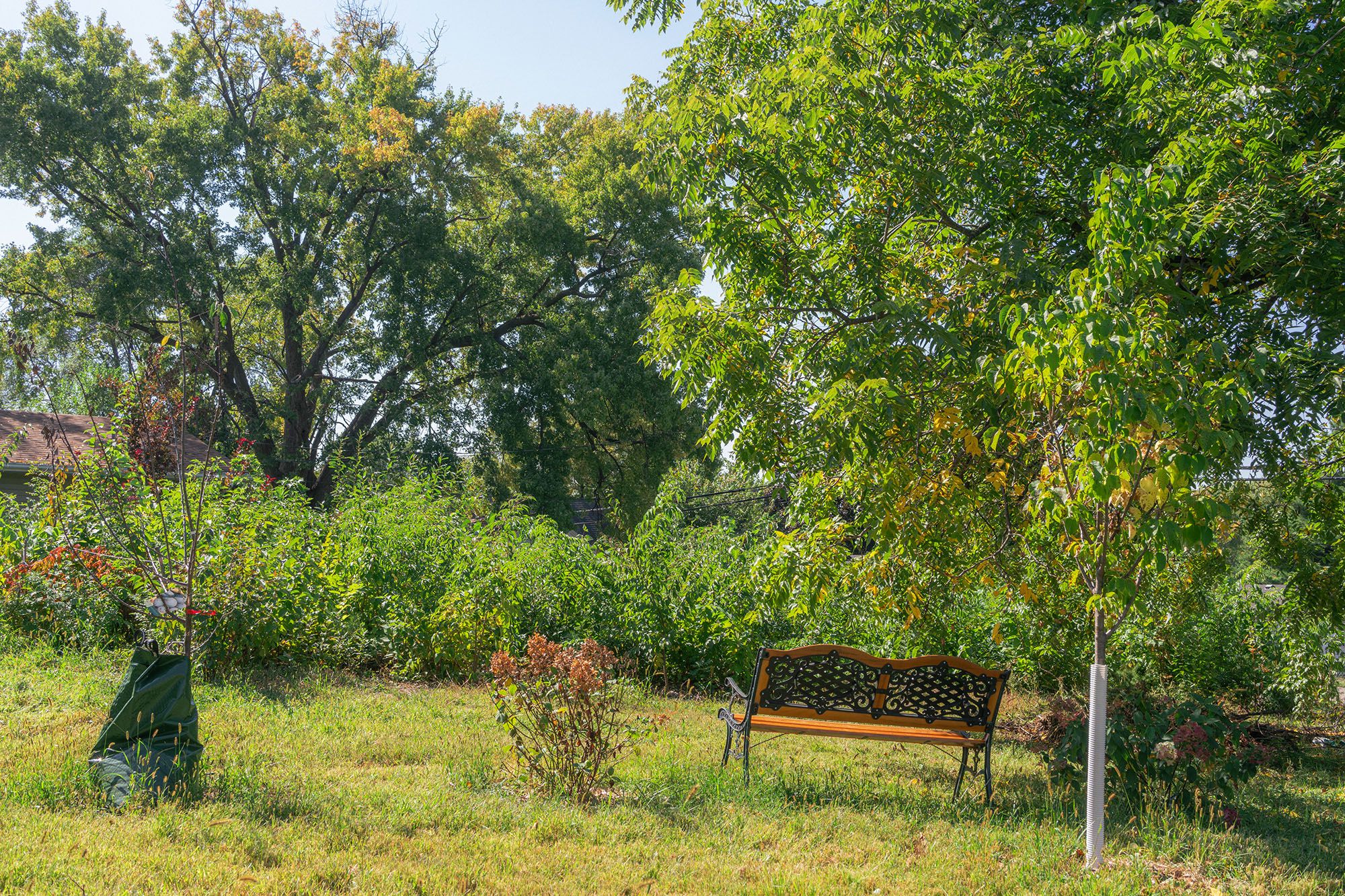 SukeGrassRoots　FOREST Northside Healing Forest | SUGi
