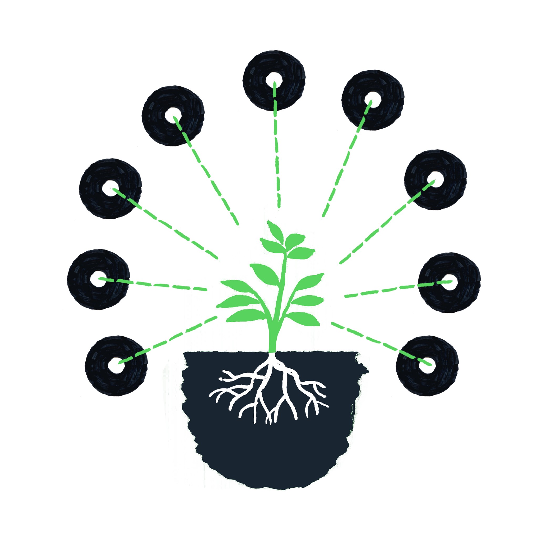 Weeks 2–10. Core Modules