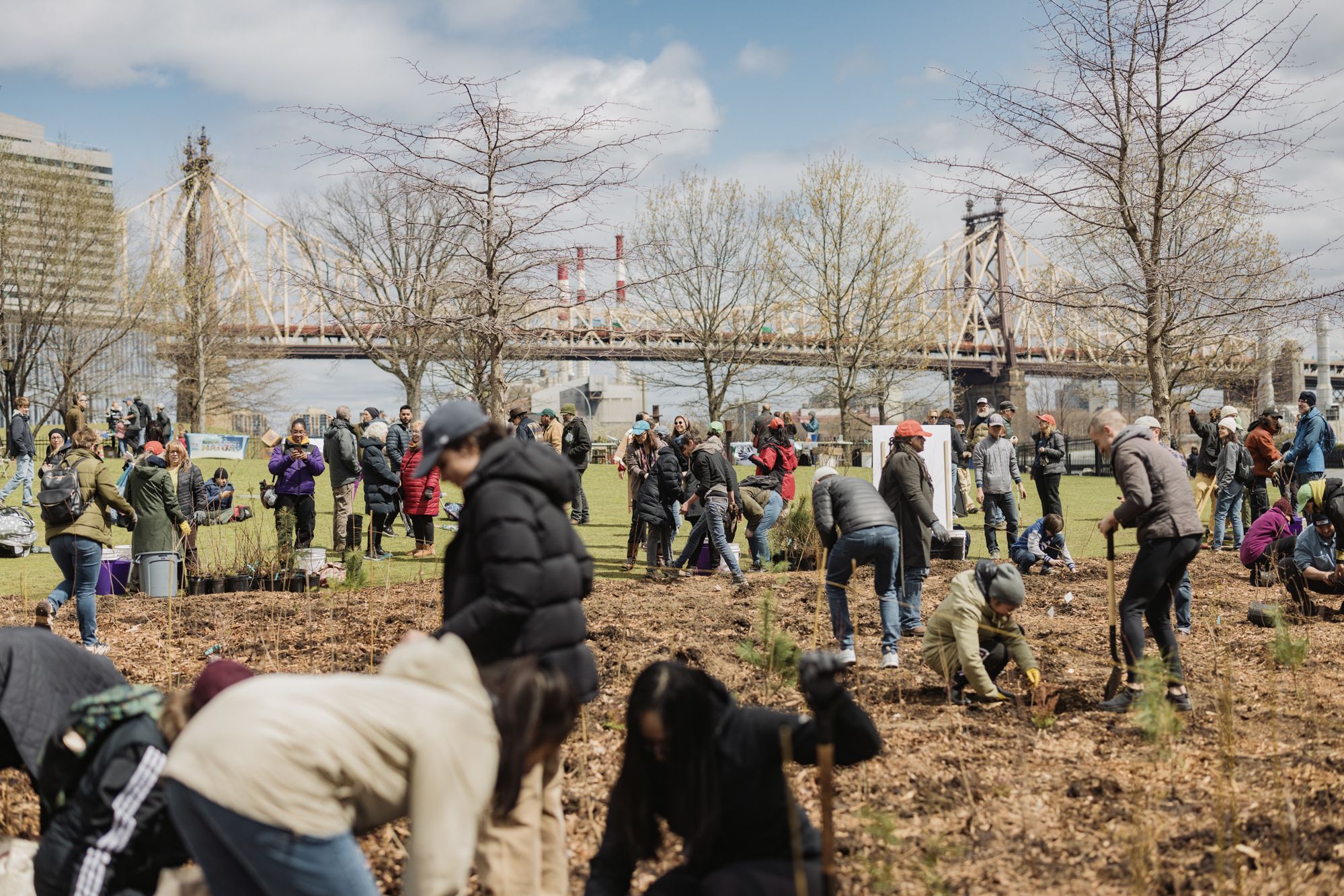 Manhattan Healing Forest | SUGi