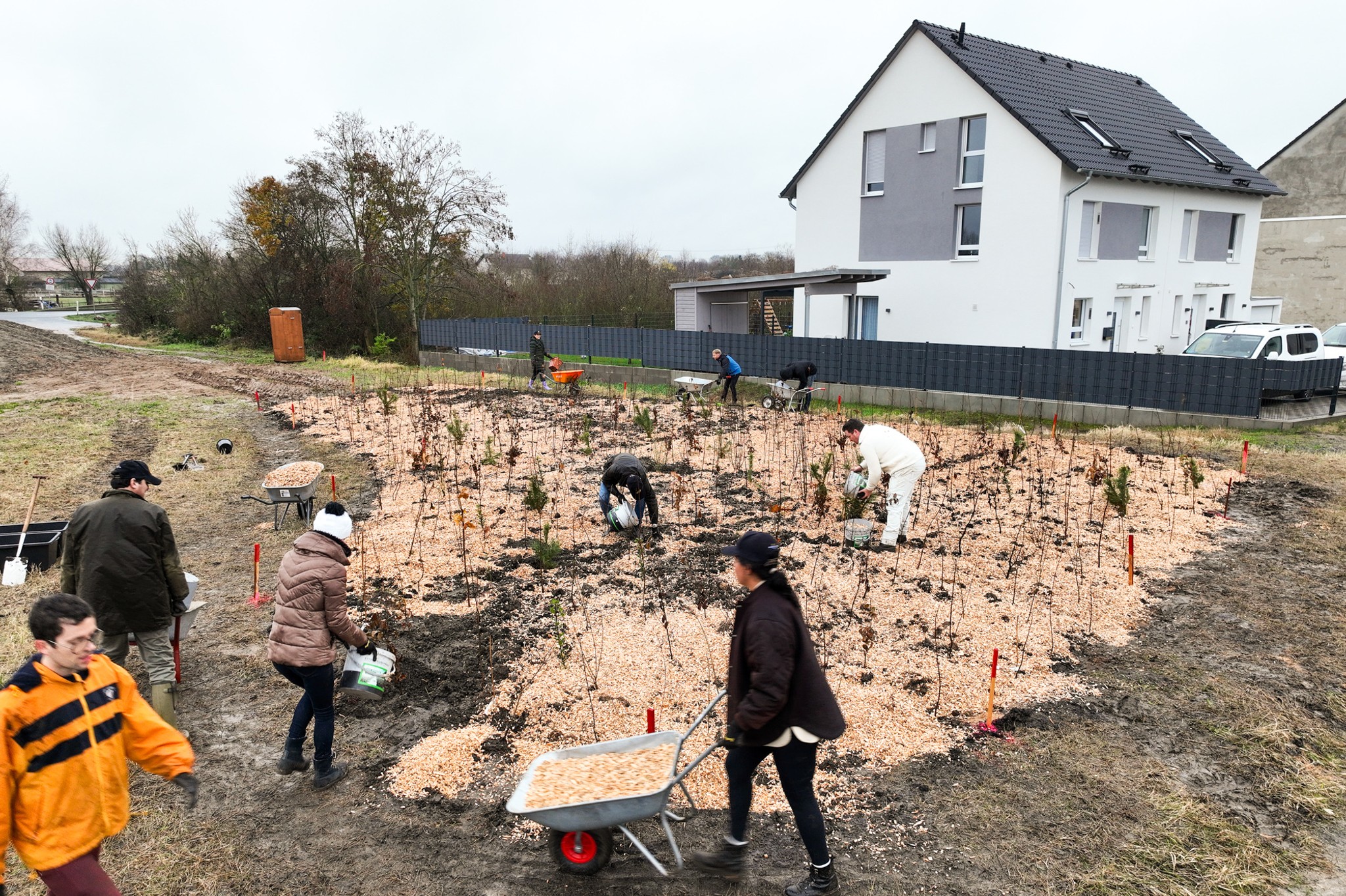 Planting