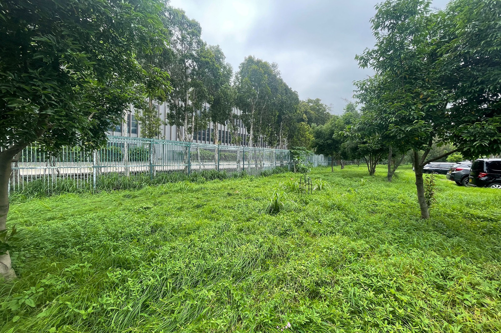 Site