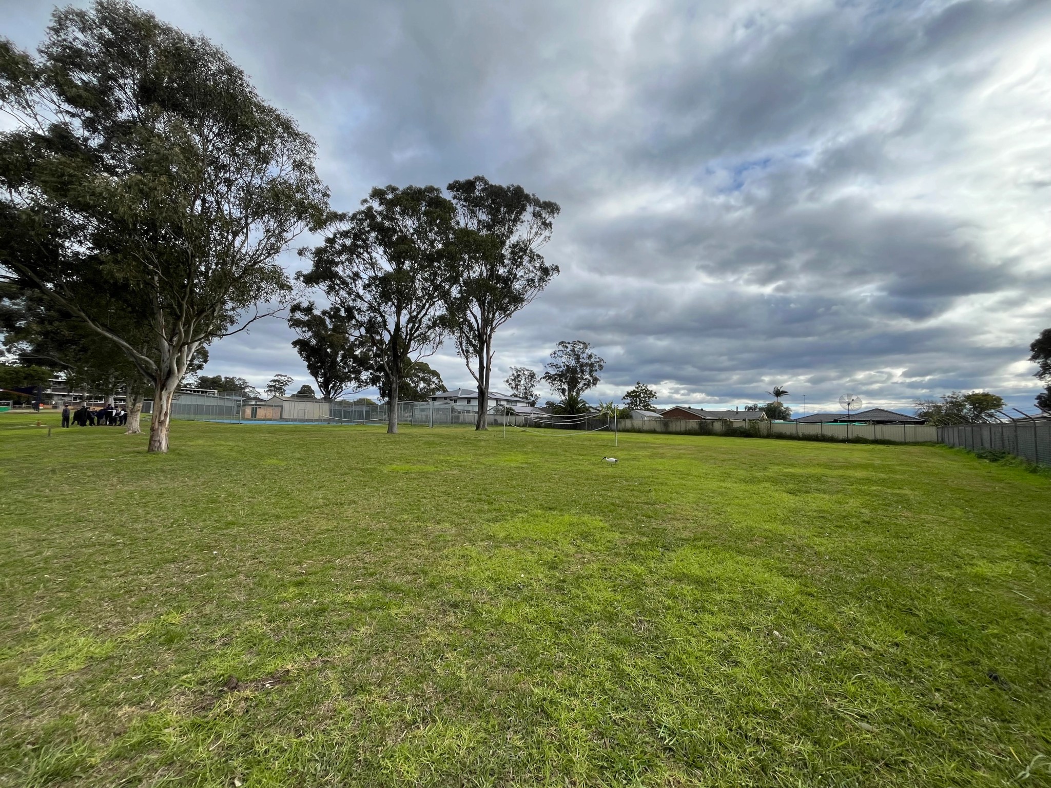 Site