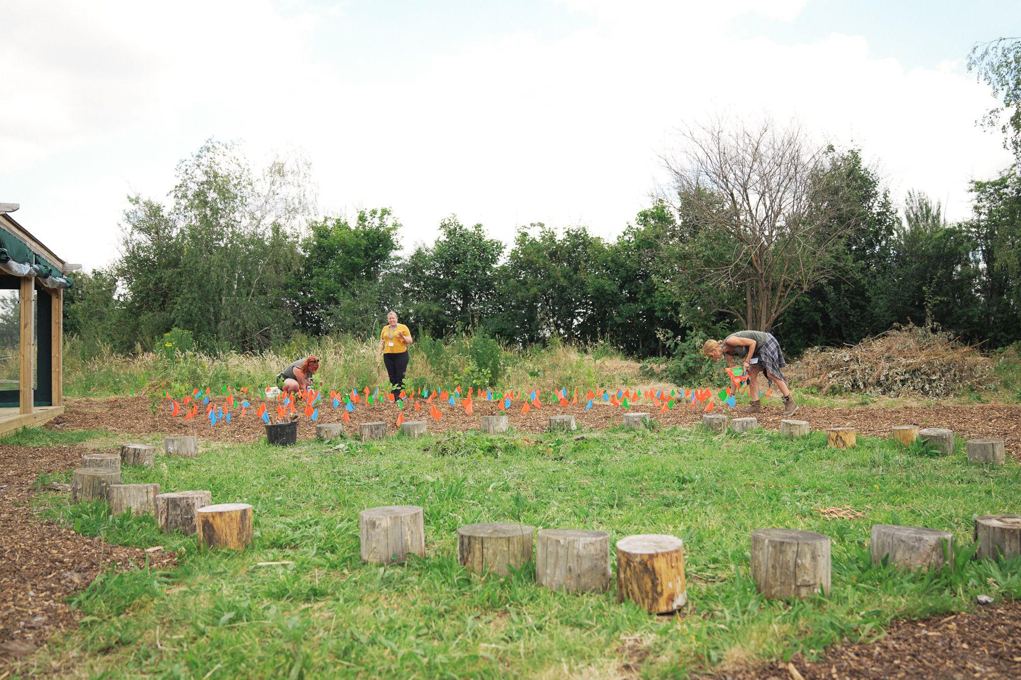 NextGen Forests | SUGi