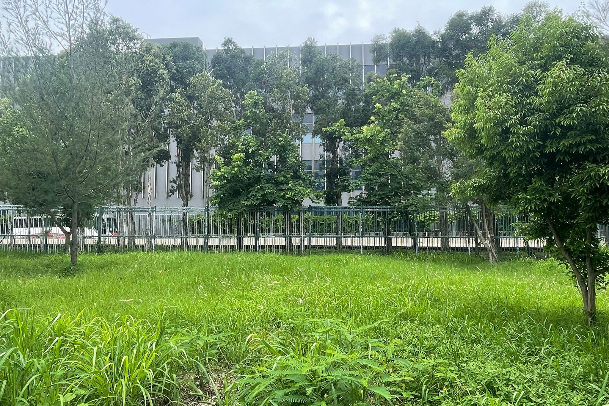 Site