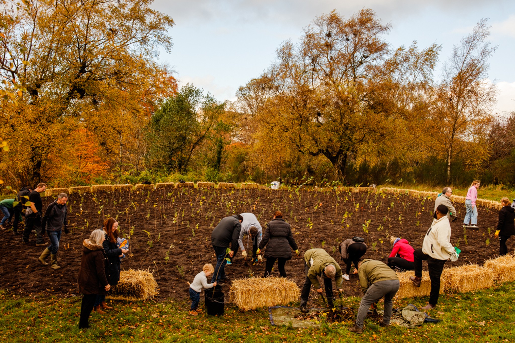 Planting