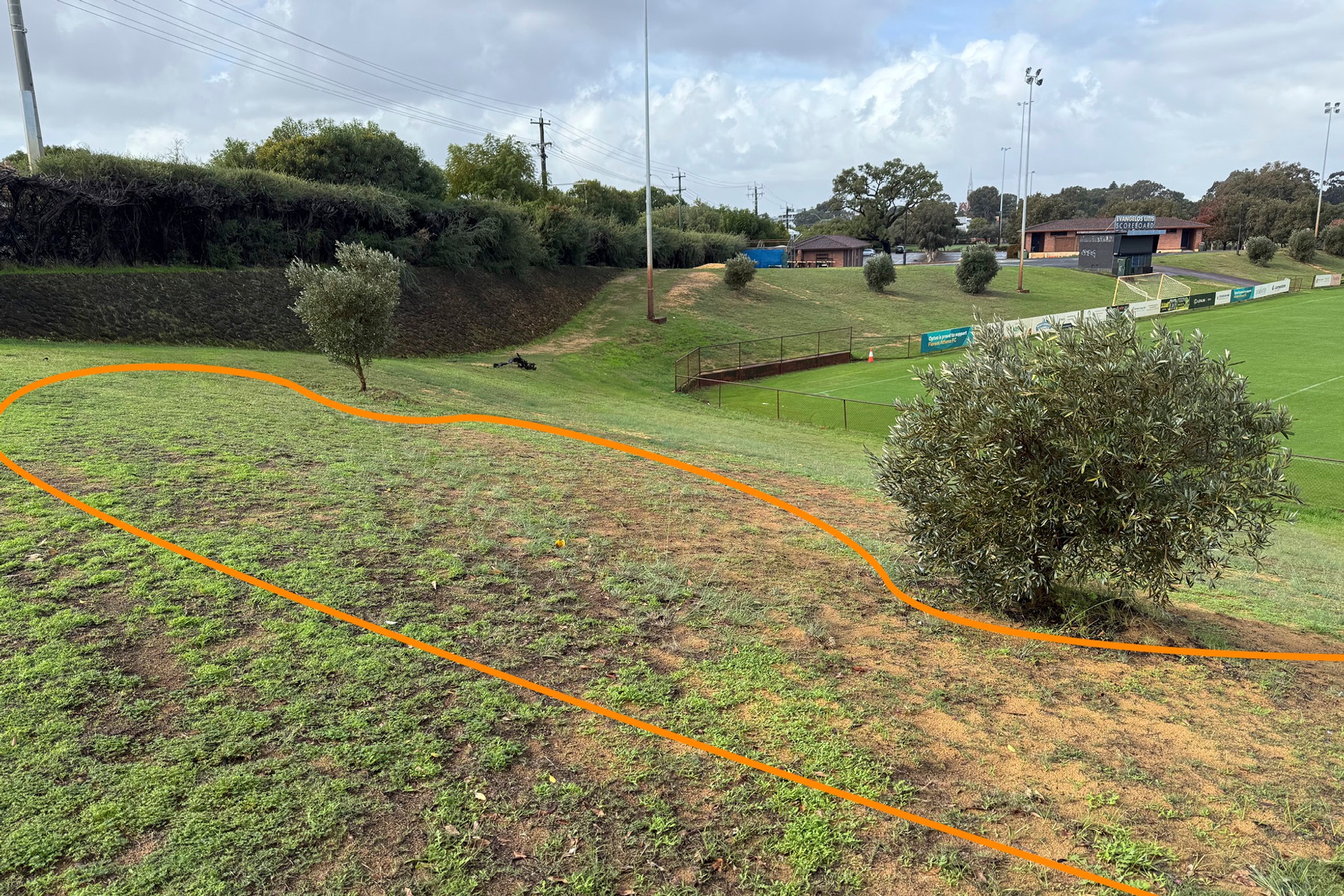 Site
