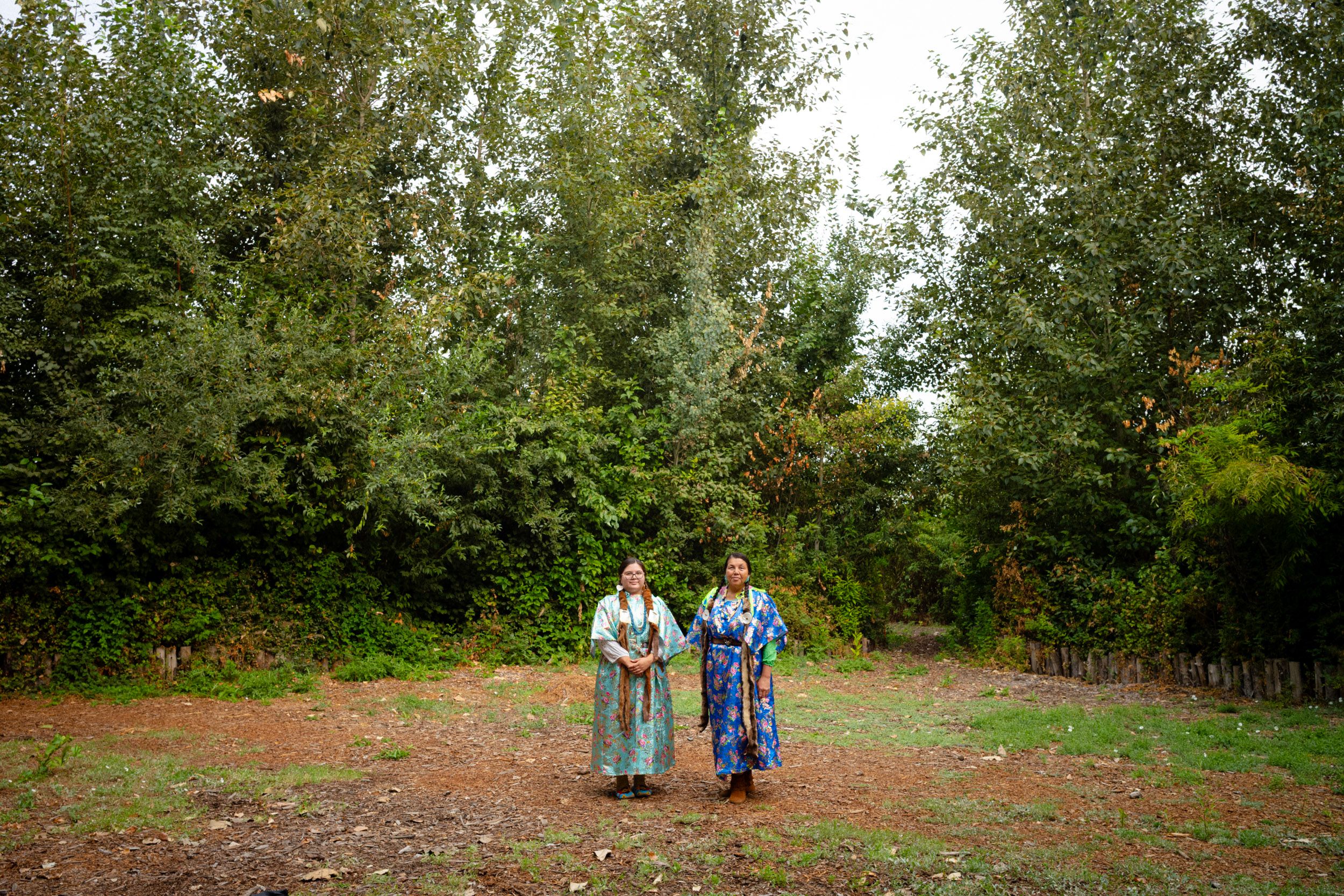 Healing Forest | SUGi