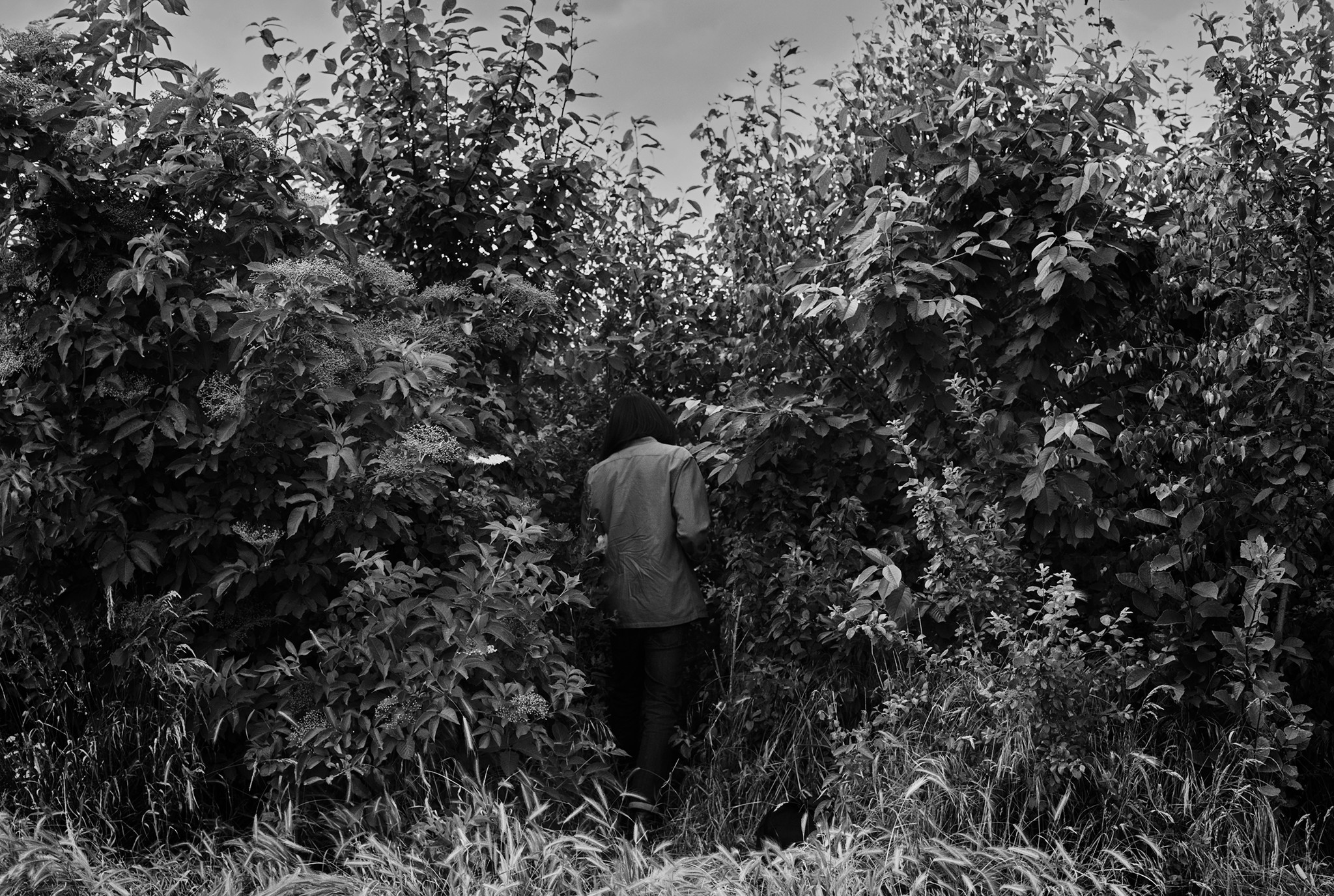 2025 SUGi Impact Report 