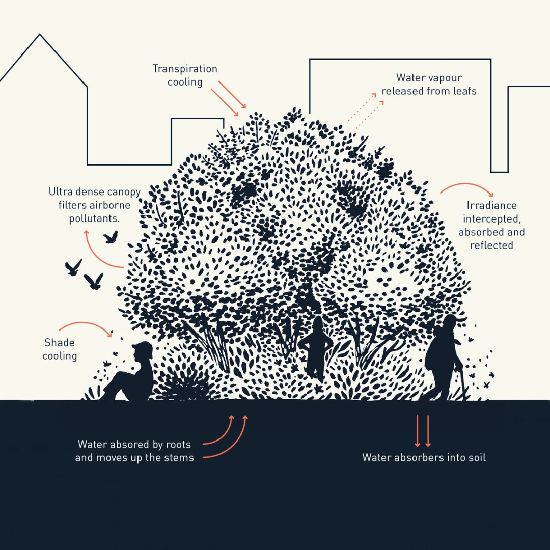 The Urban Green Space Gap | SUGi