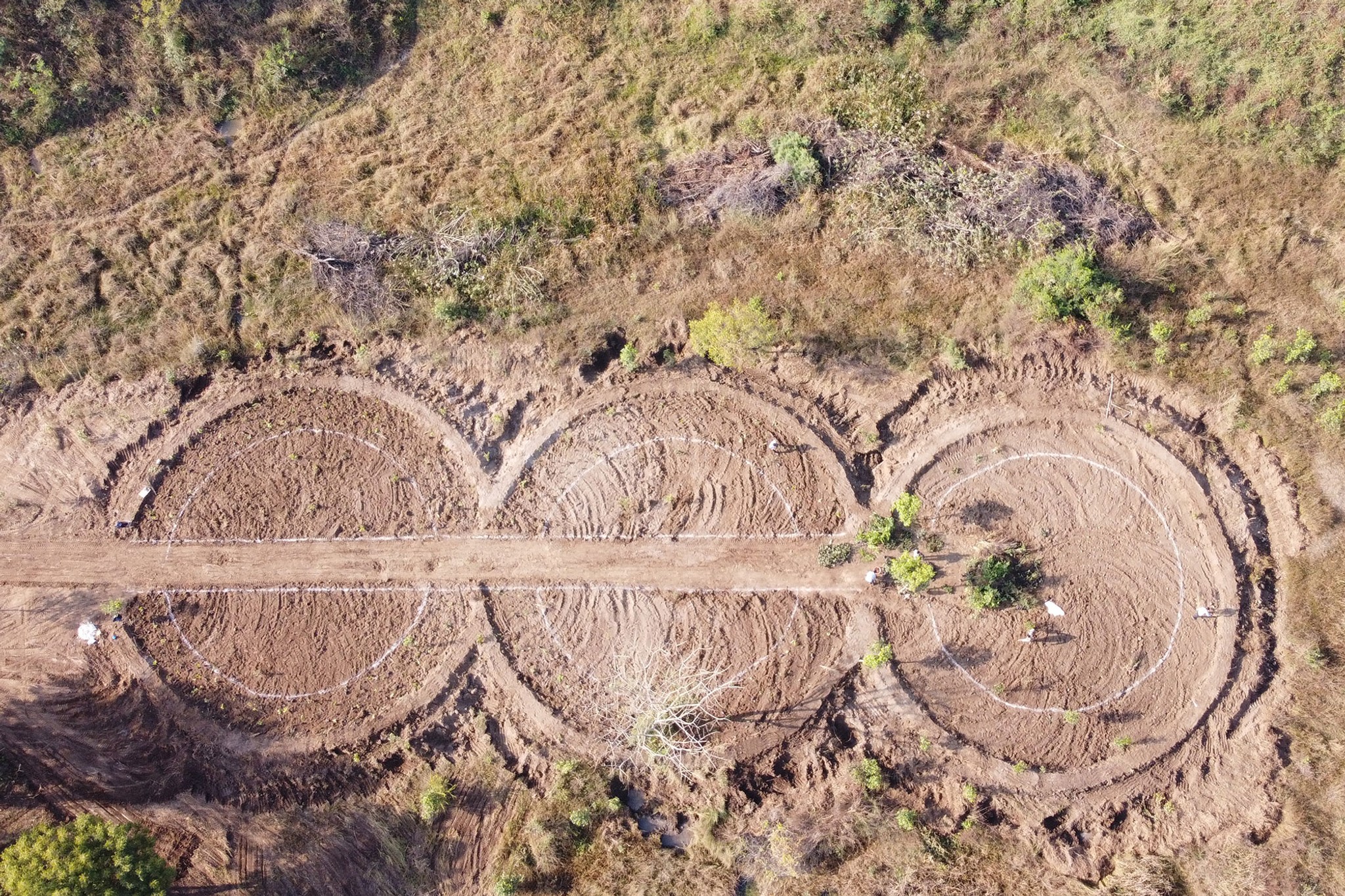 Planted