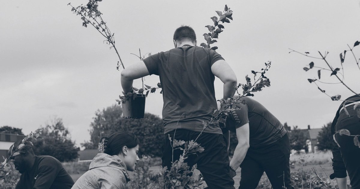 Miyawaki Method Explained: Rapid Reforestation for All