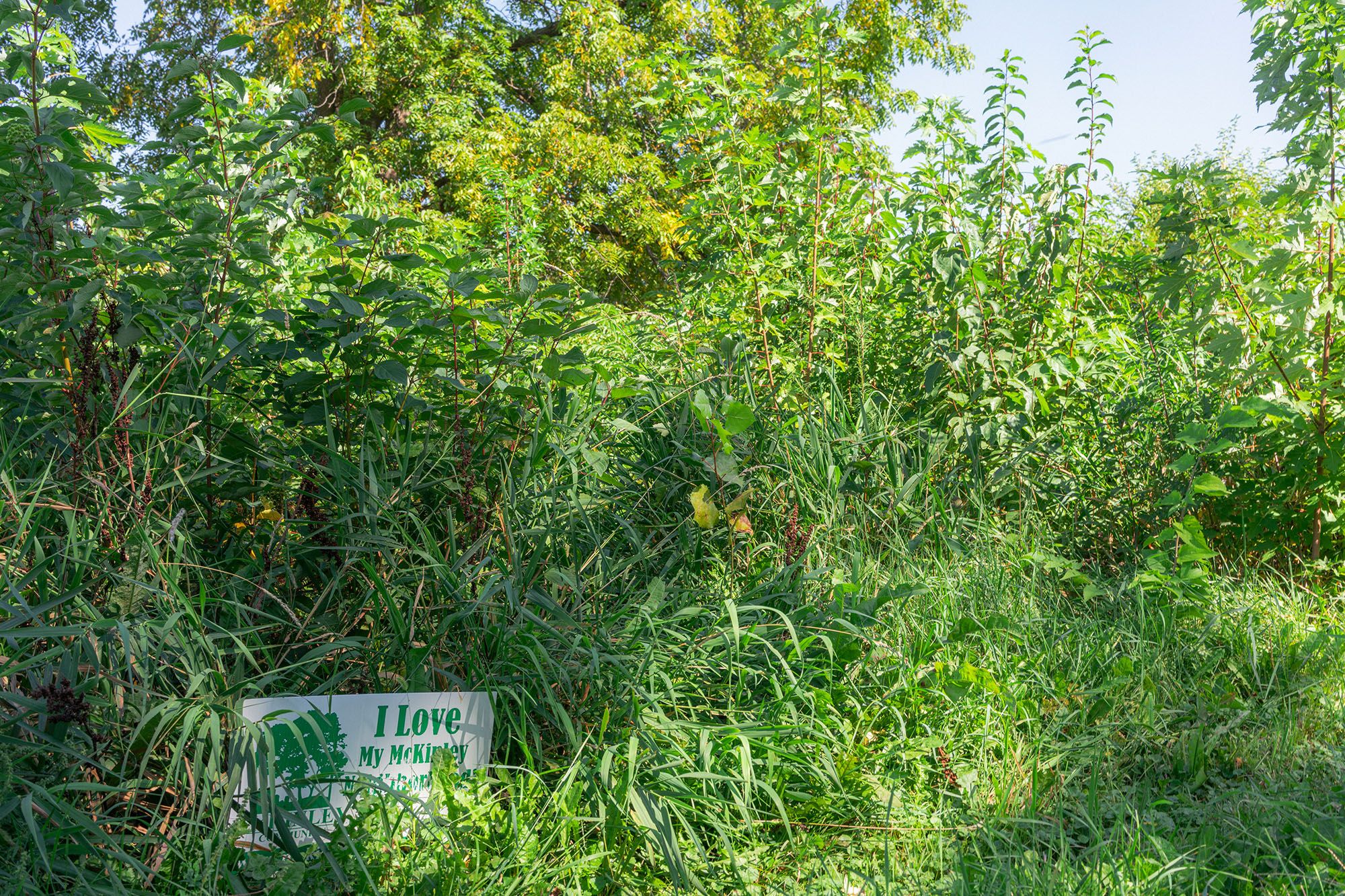 Northside Healing Forest | SUGi