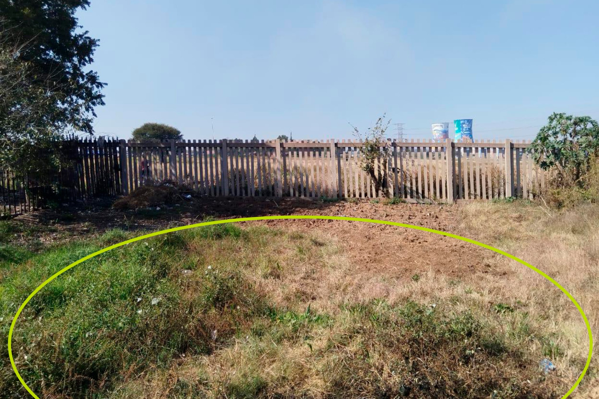 Site