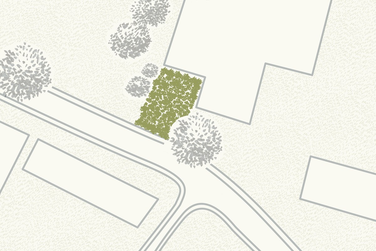 nextgen-forests-sugi