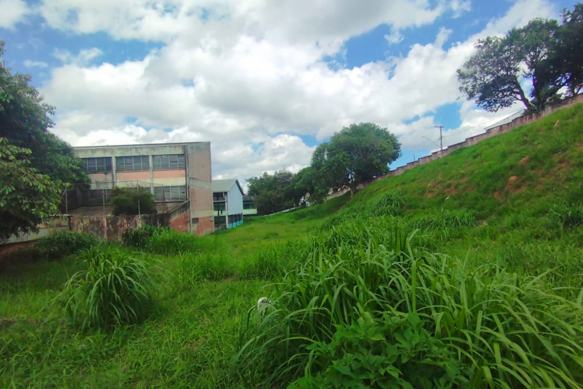 Site