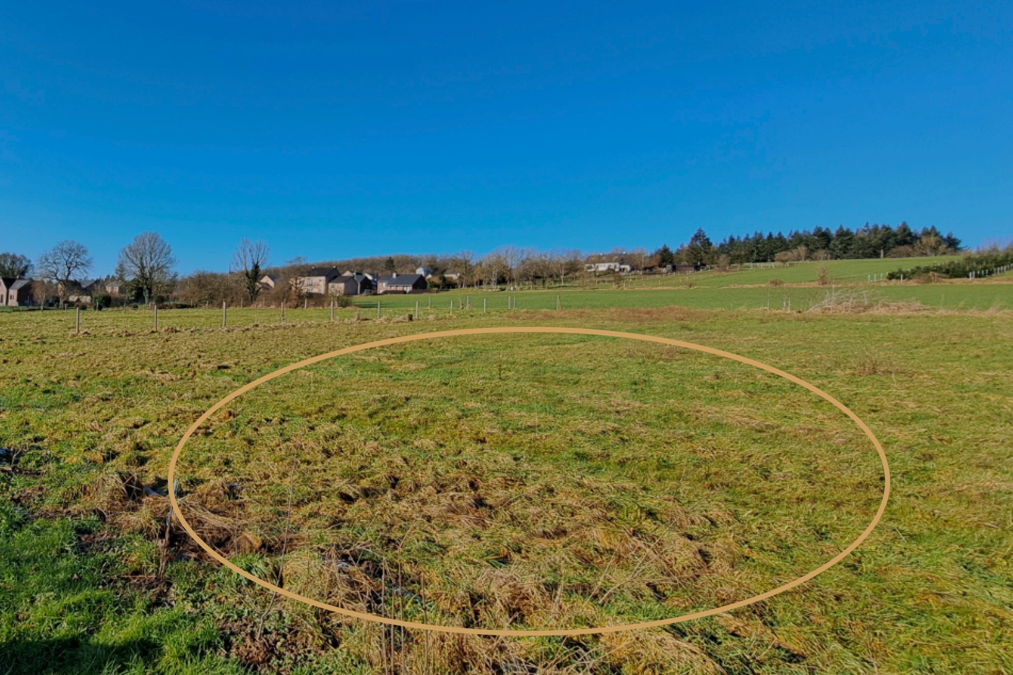 Site