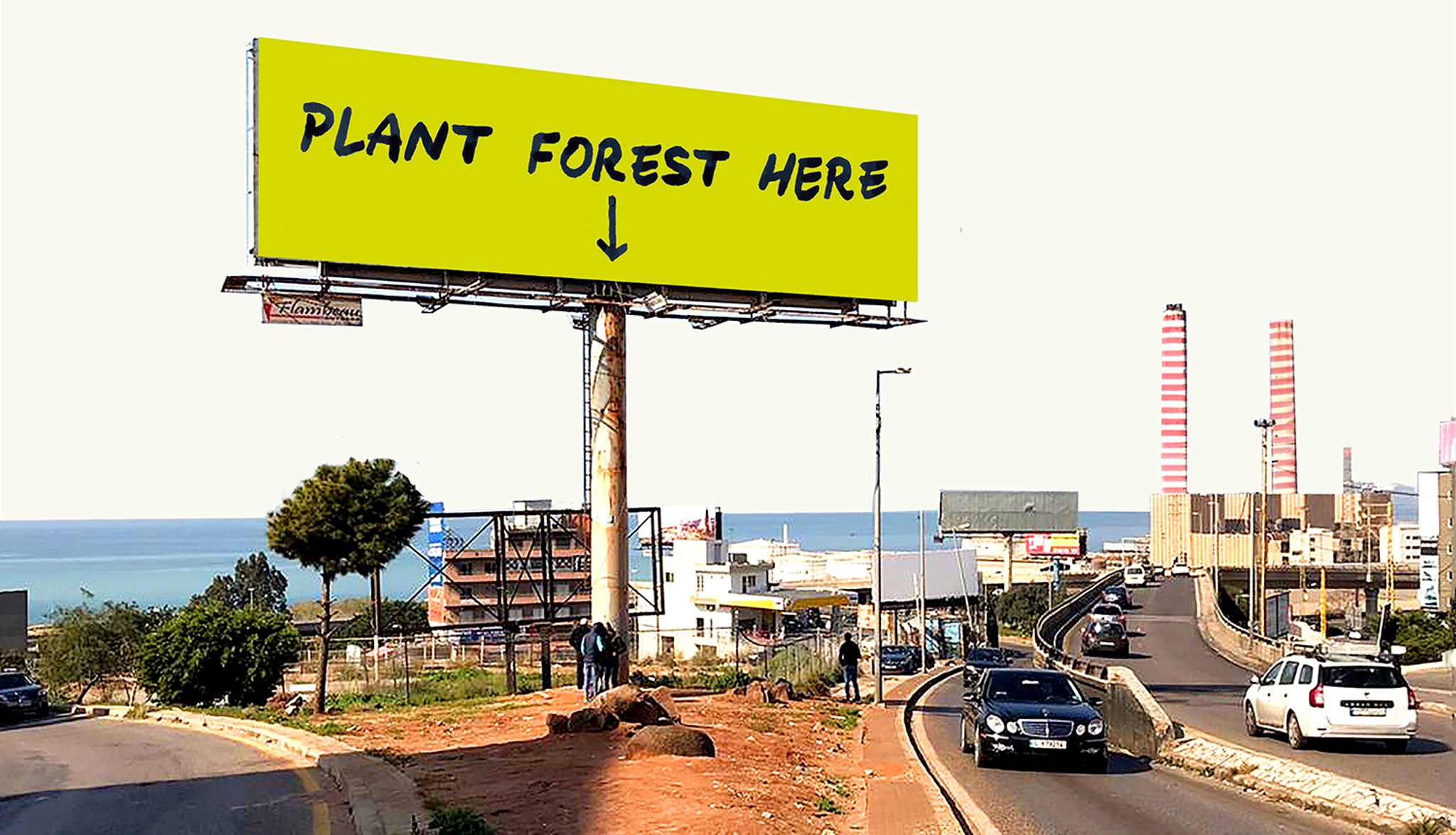 Plant forest in Lebanon
