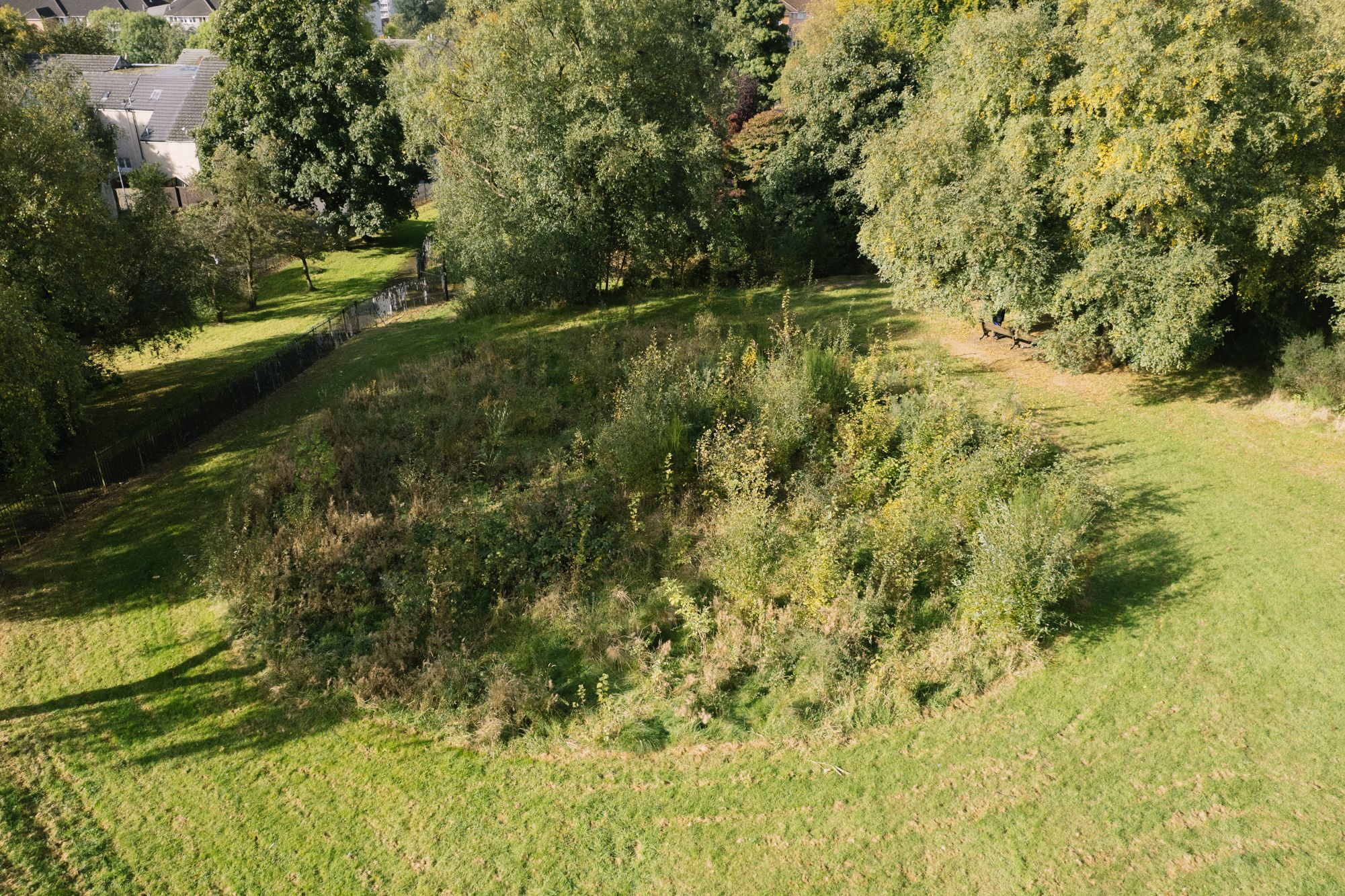 Springburn Forest | SUGi