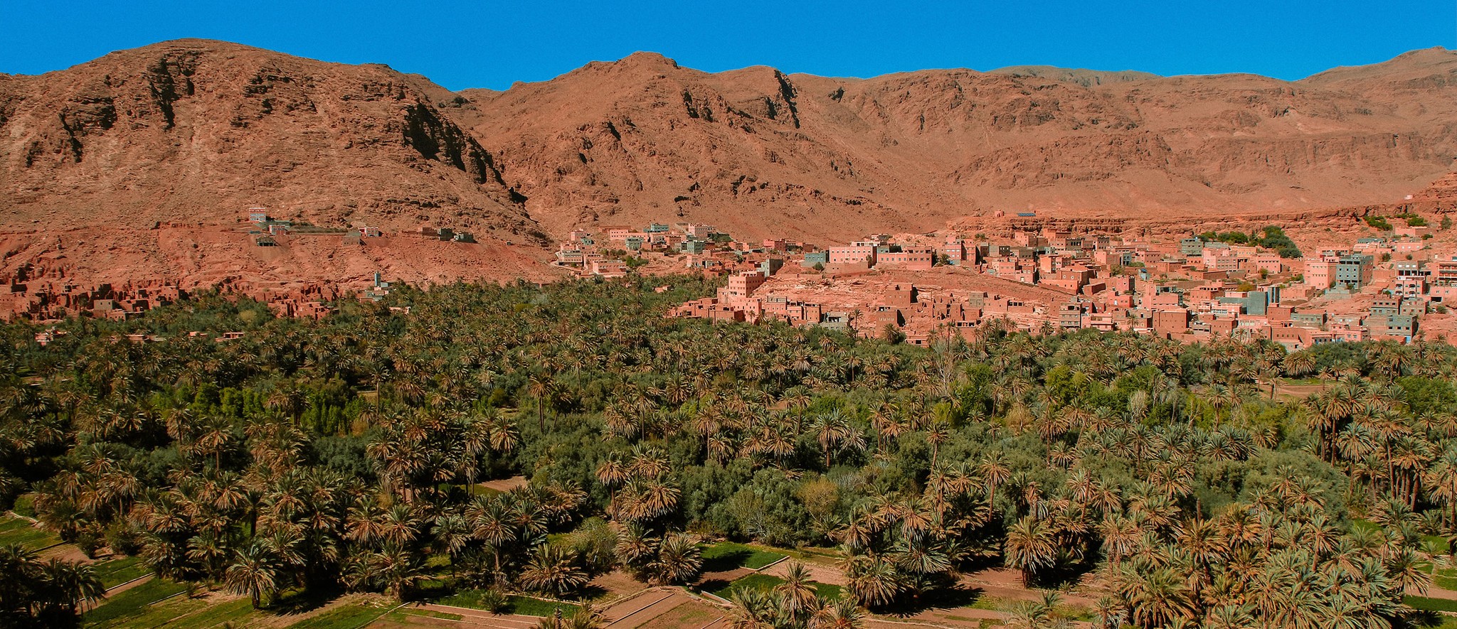 food forest in Morocco
