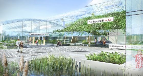 Circulaire meststoffen uit gewasresten