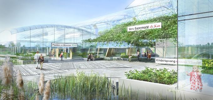 Circulaire meststoffen uit gewasresten