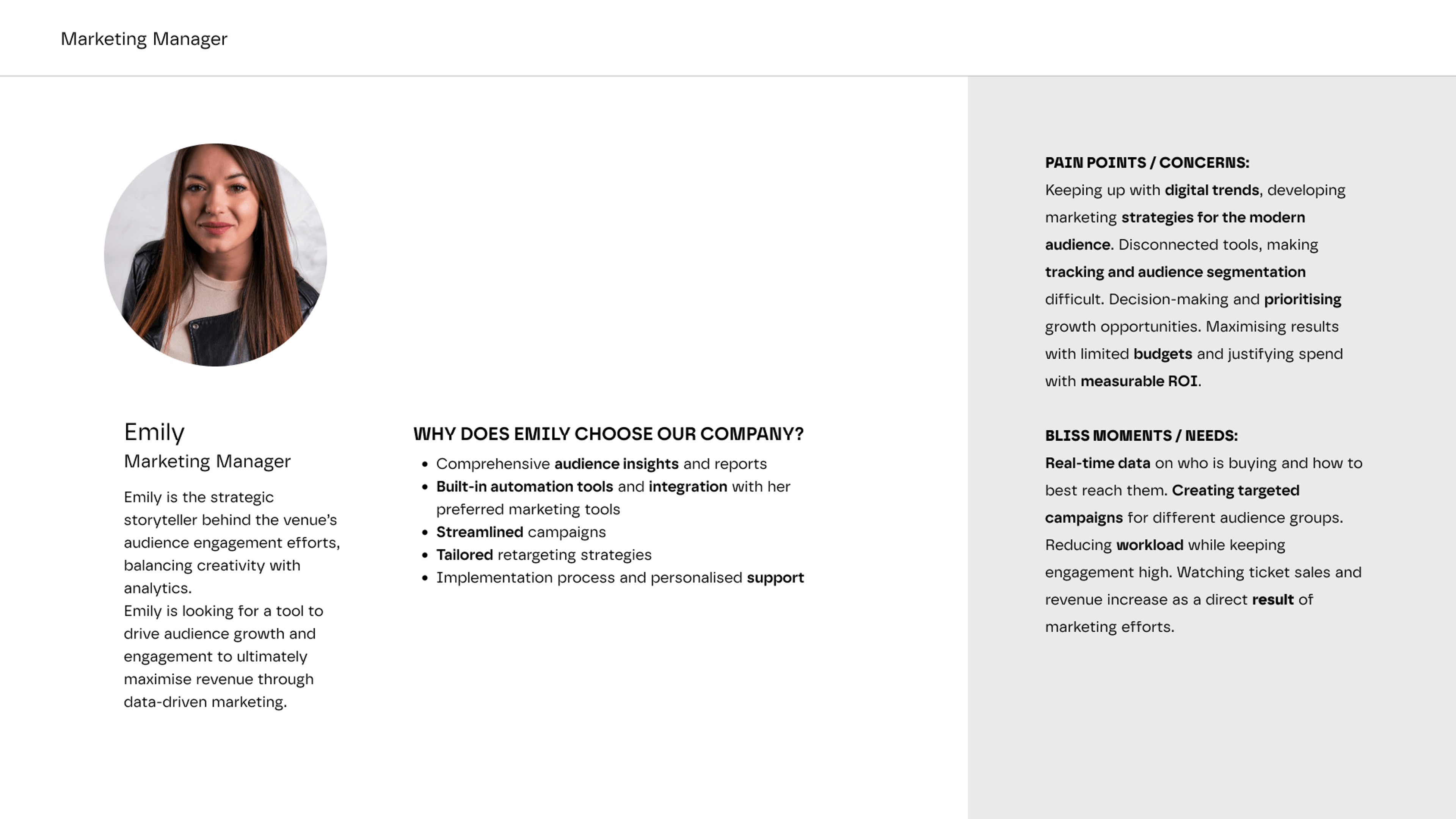 ideal customer profile for a Marketing Manager