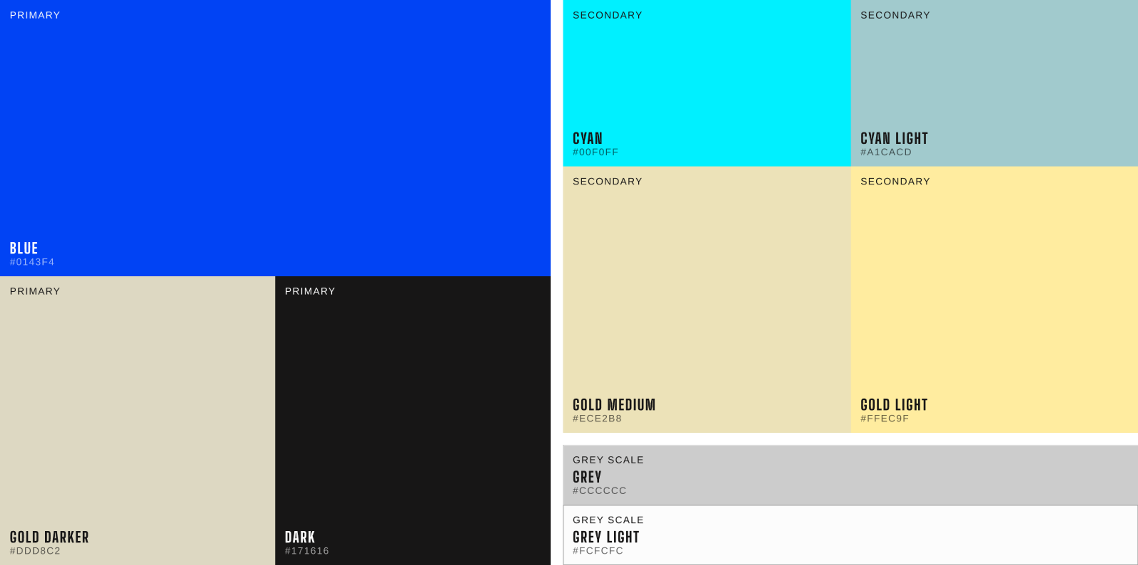 Magneo color palette with signature deep blue
