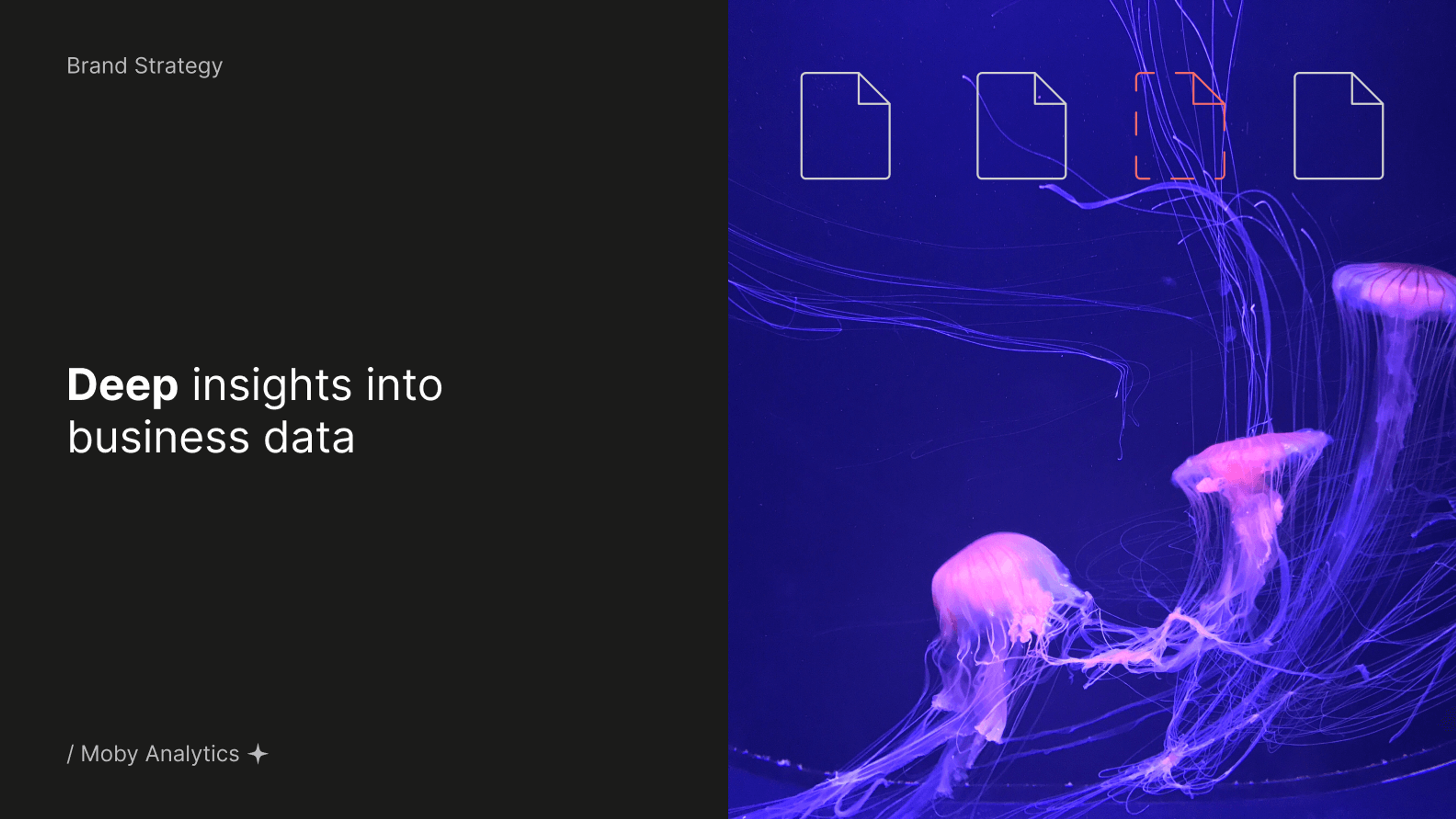 Moby Analytics concept 1