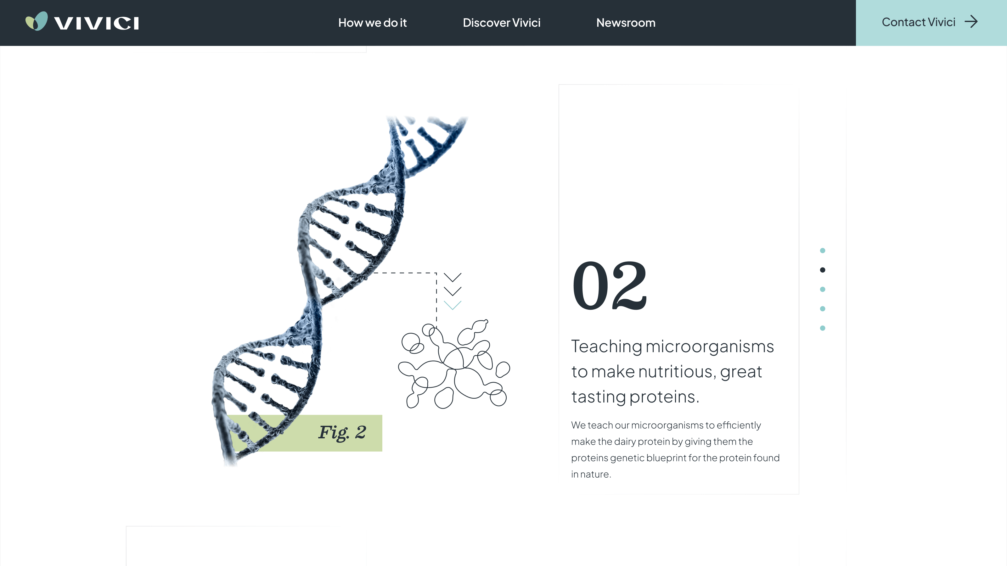 Vivici web 3