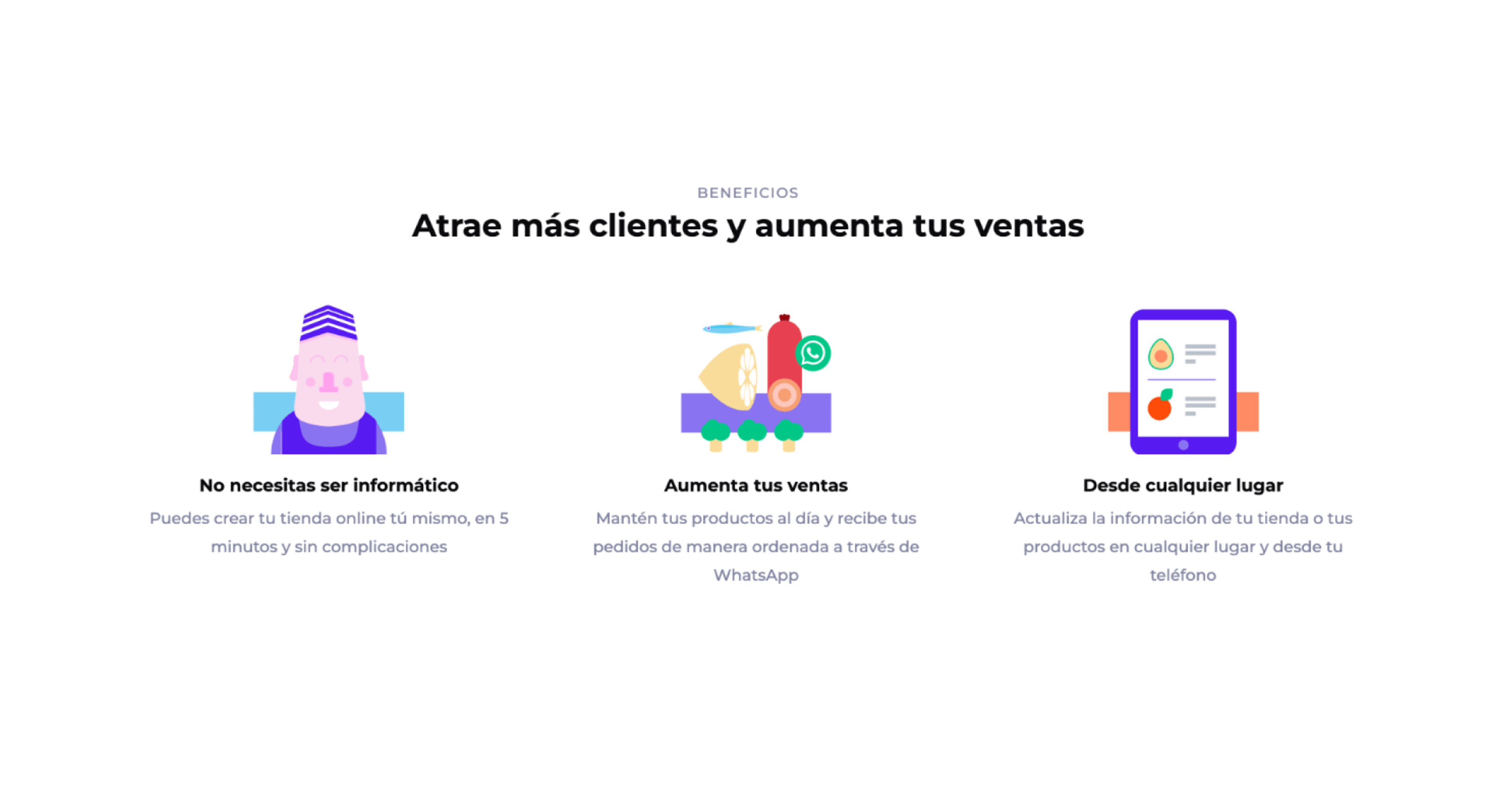 Muylocal web 4
