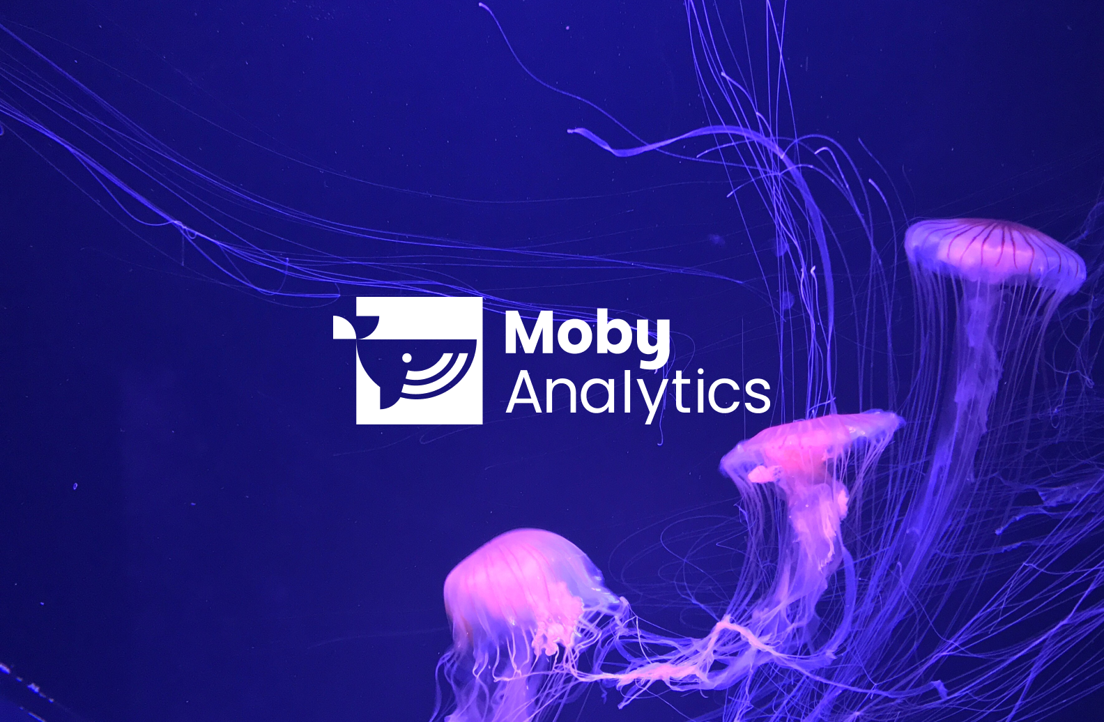 Moby Analytics