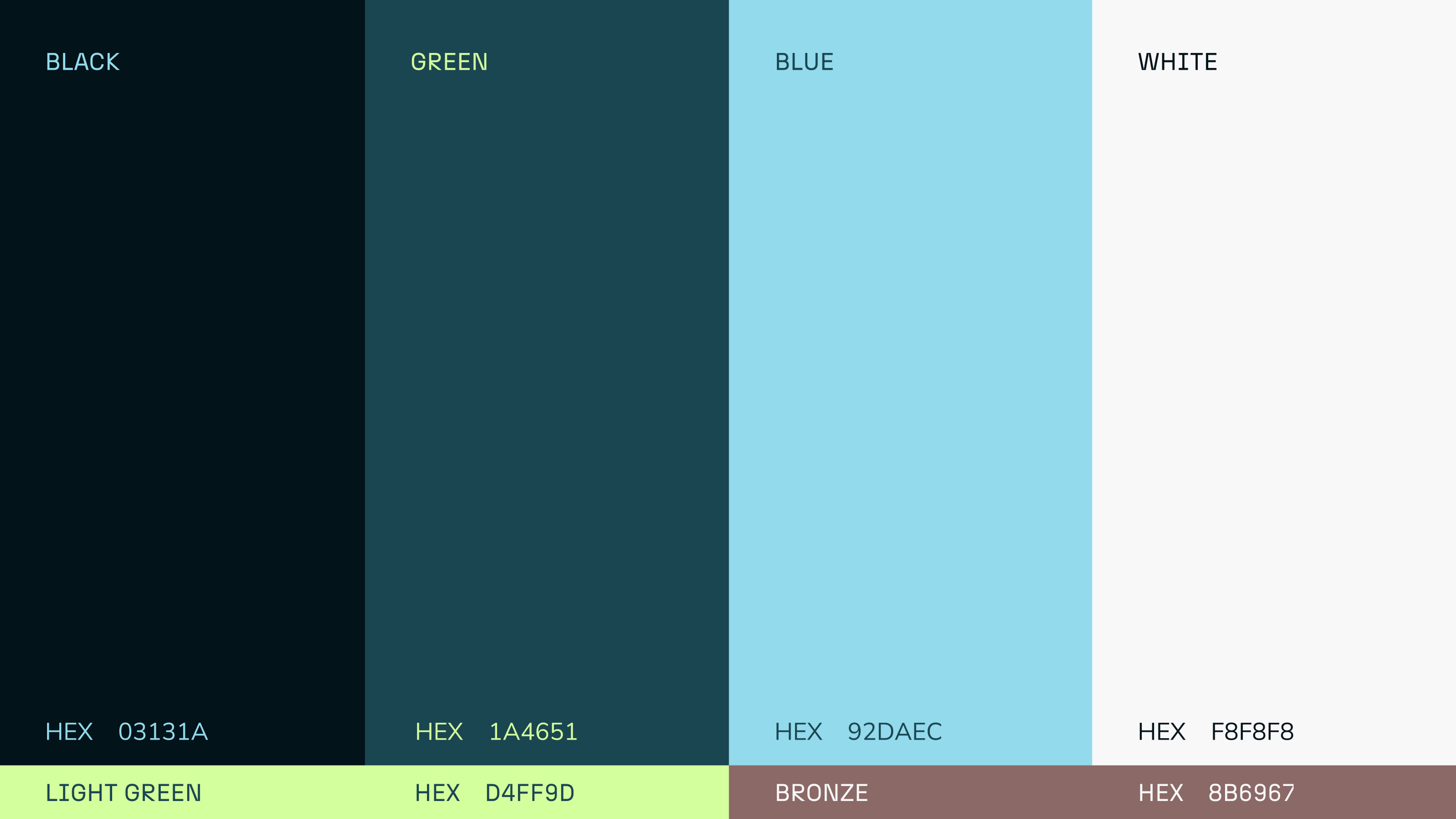 Visual showing the color palette of Paxafe.