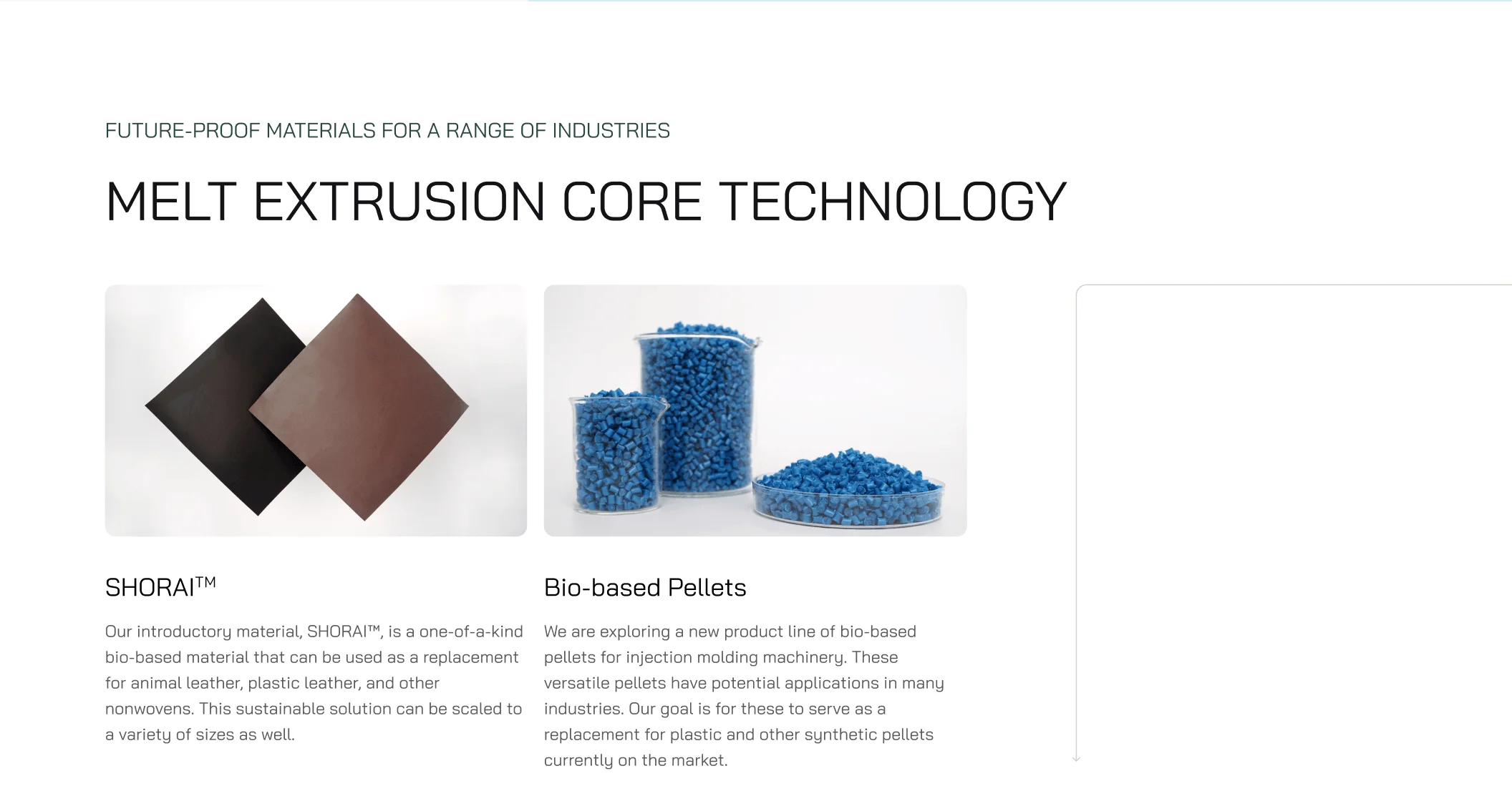 Rheom web 9