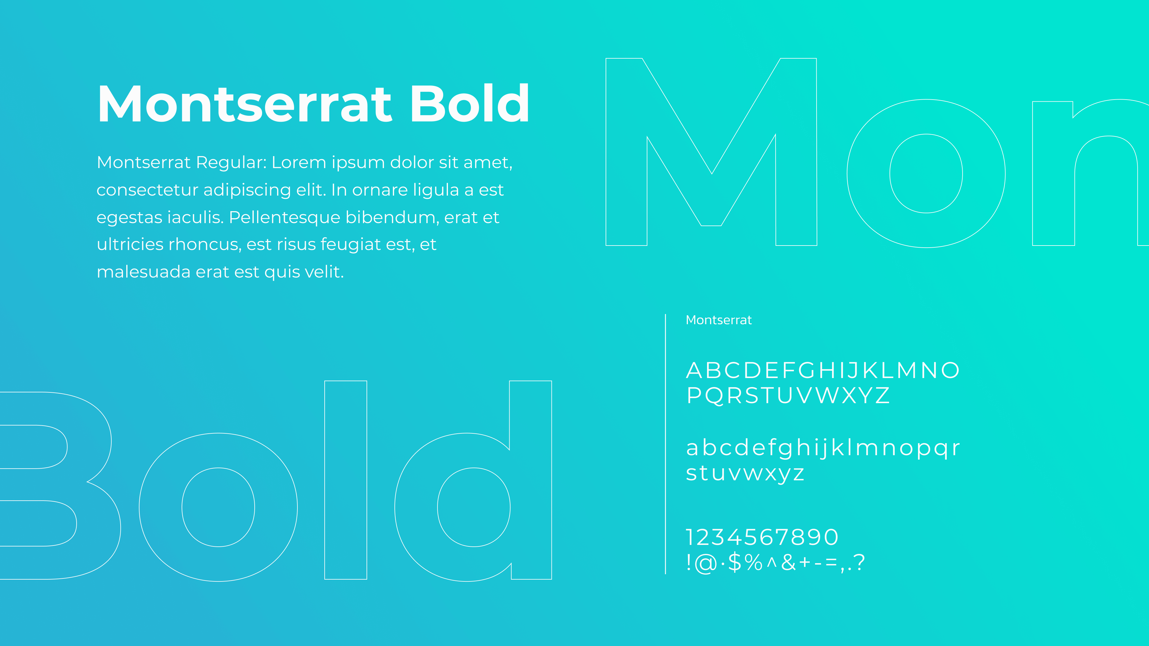 A visual showing the use of the typeface, Montserrat Bold.