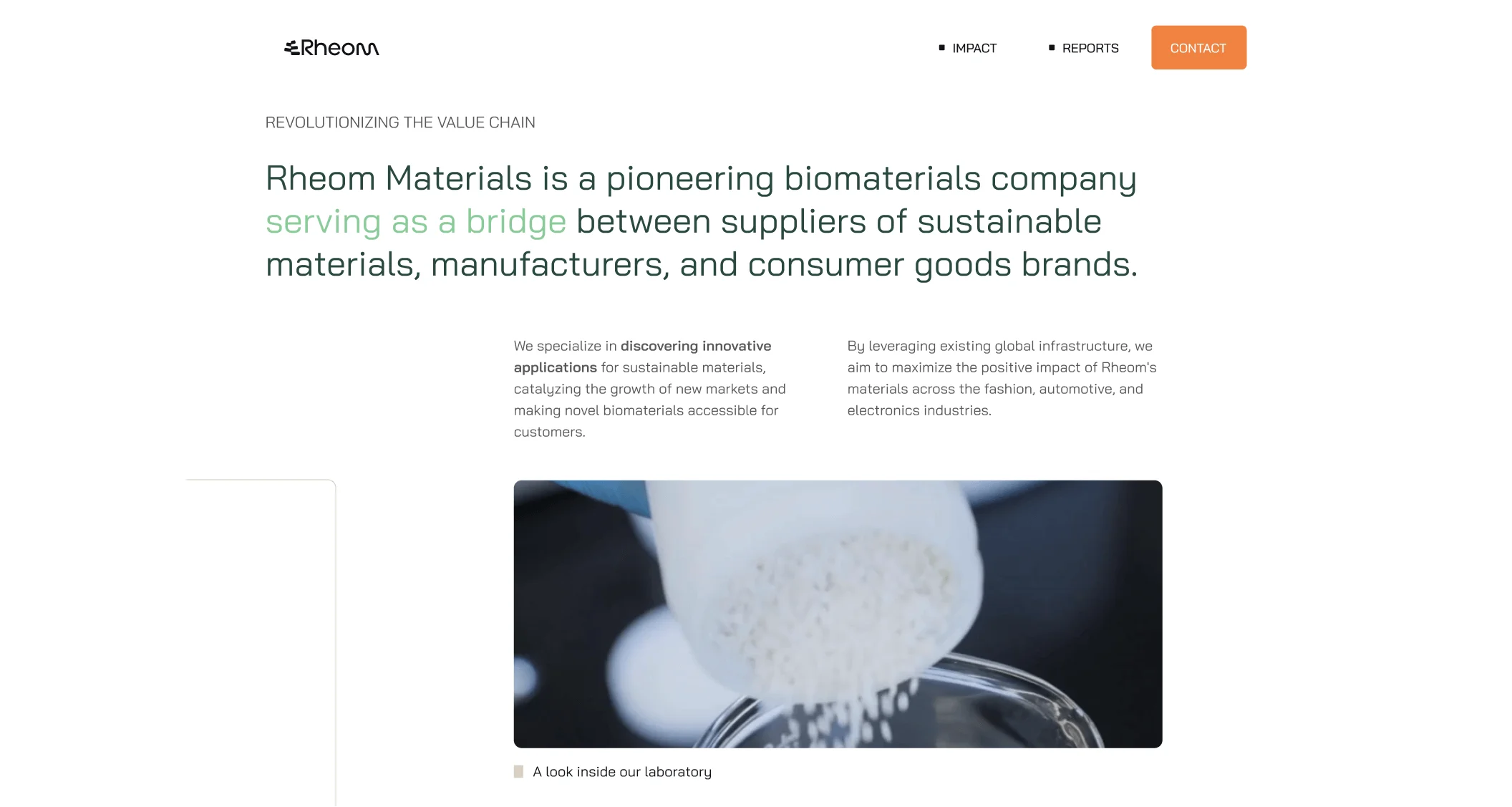 Rheom web 8