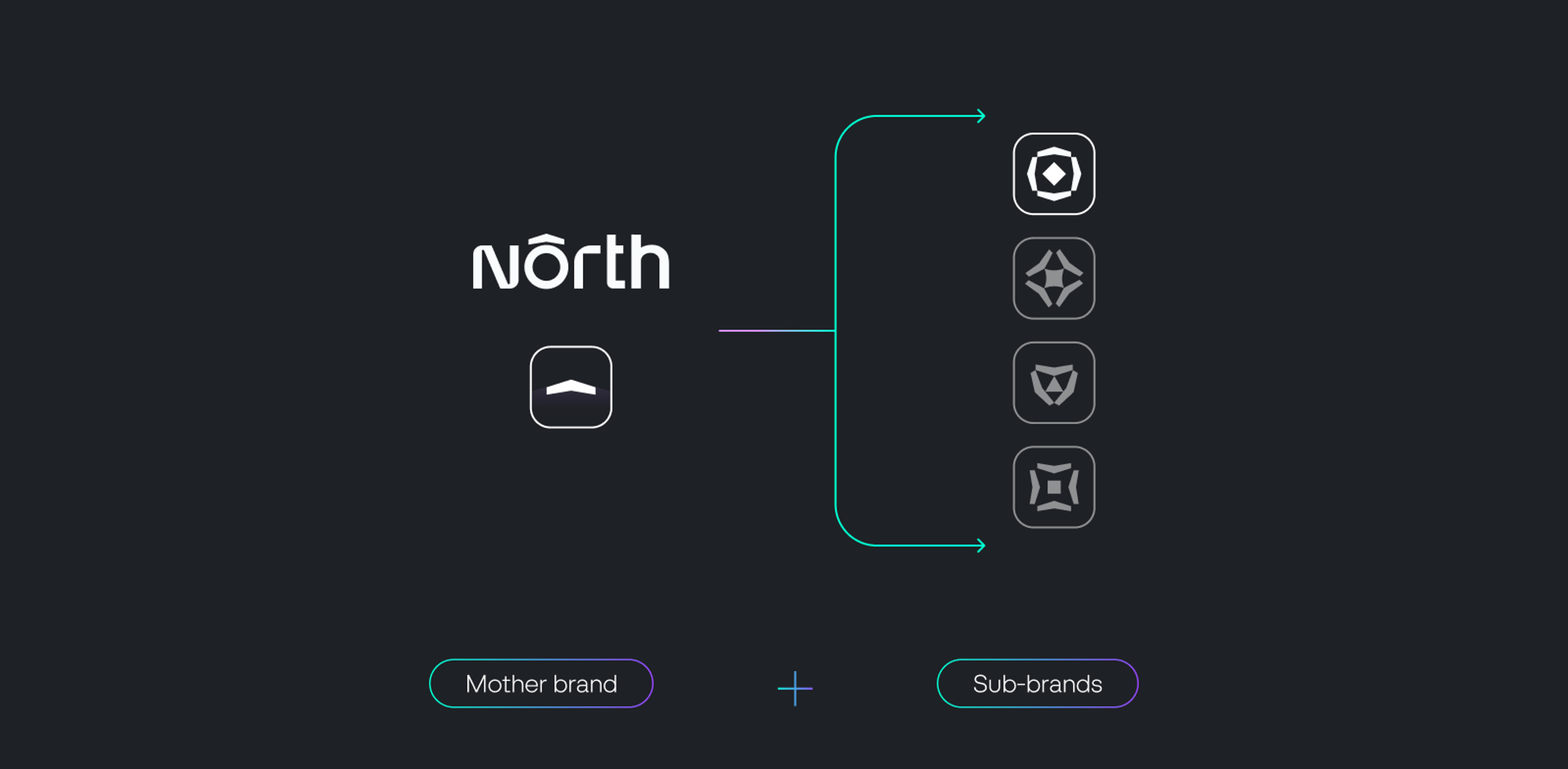 North mother brand and sub-brands