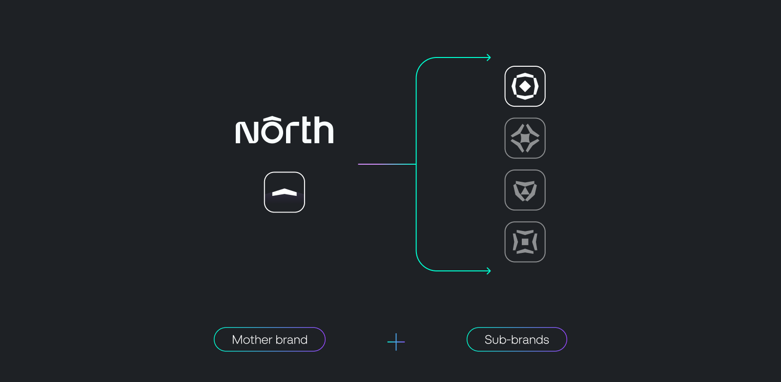 North mother brand and sub-brands