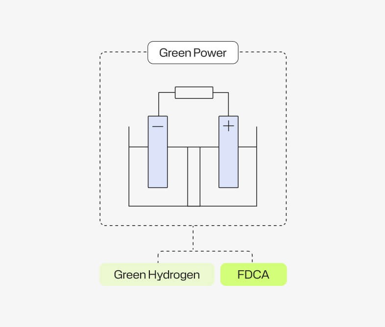 Furanova illustration