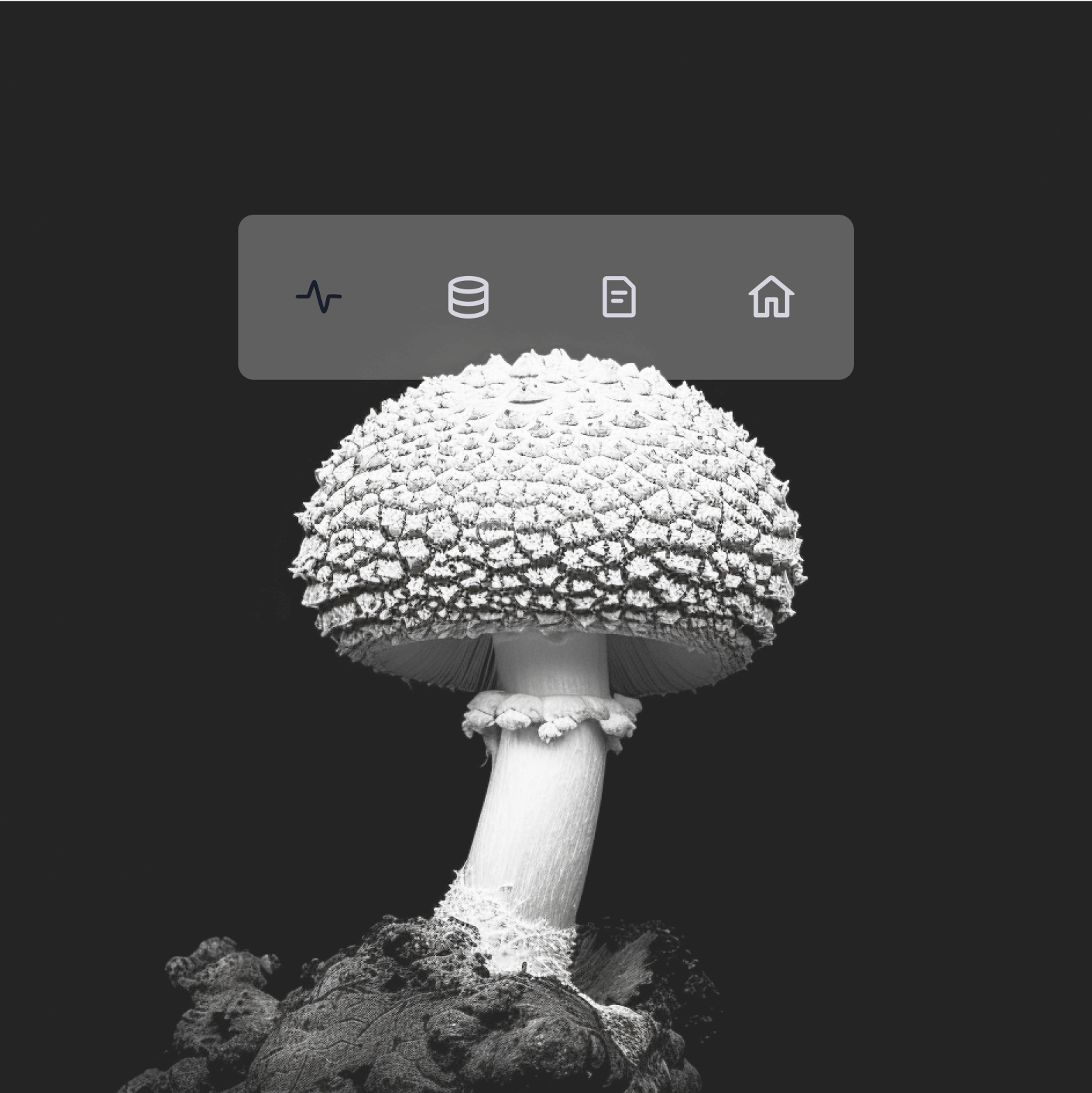 Protomio imagery