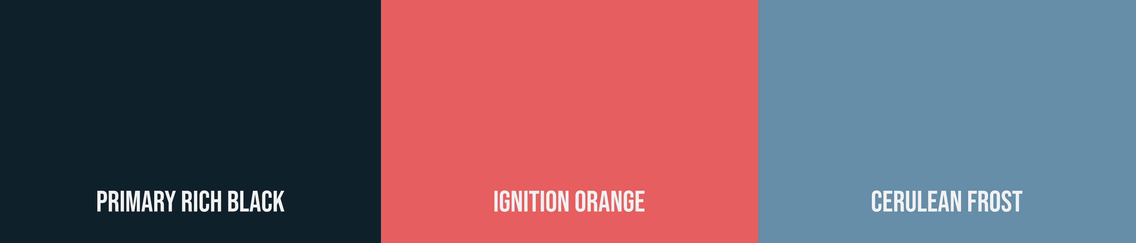 Visual with the three brand colors of Xonai: primary rich black, ignition orange, cerulean frost.