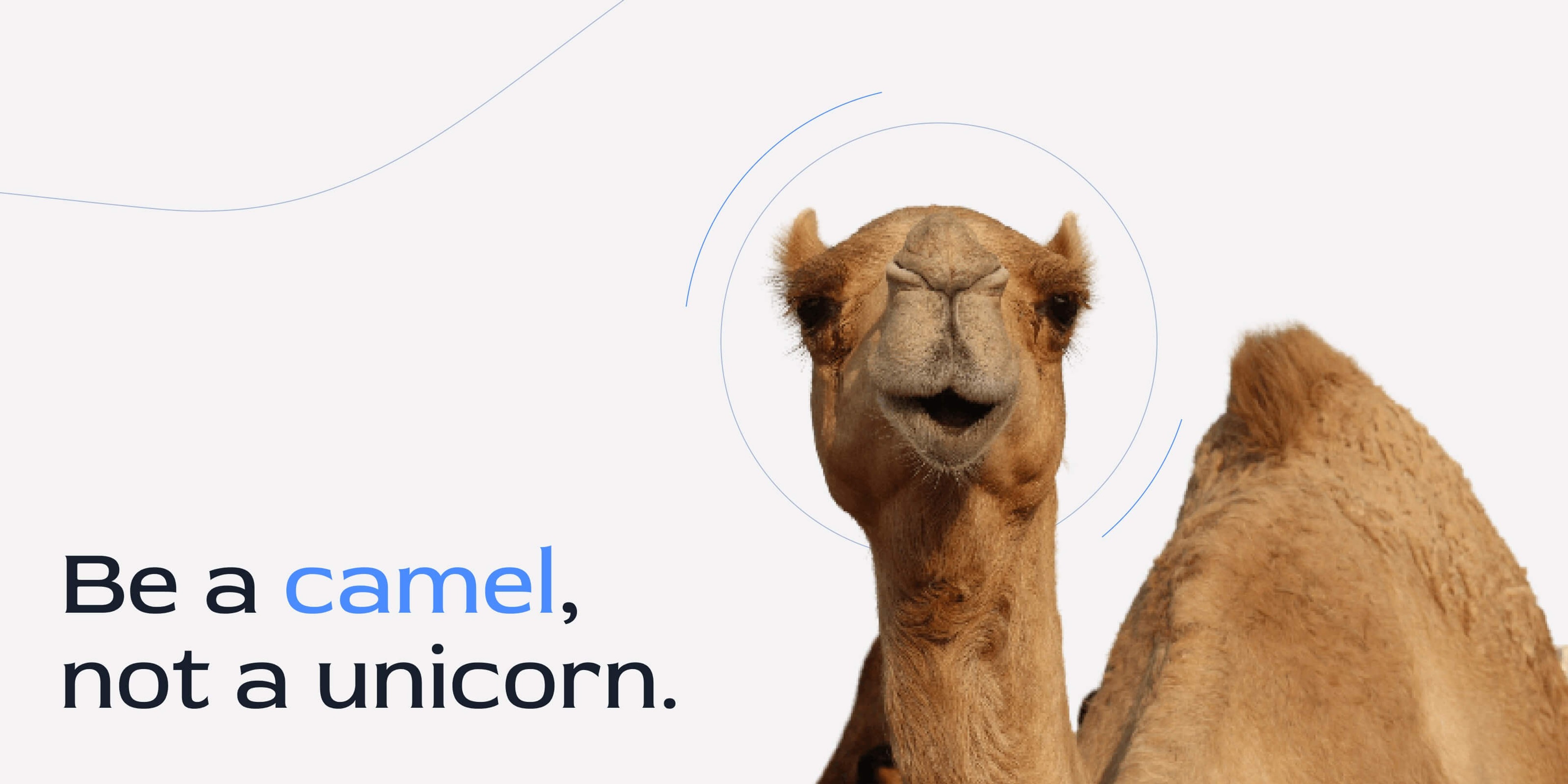 Texto que dice: Sé un camello, no un unicornio. Al lado, una imagen de un camello.