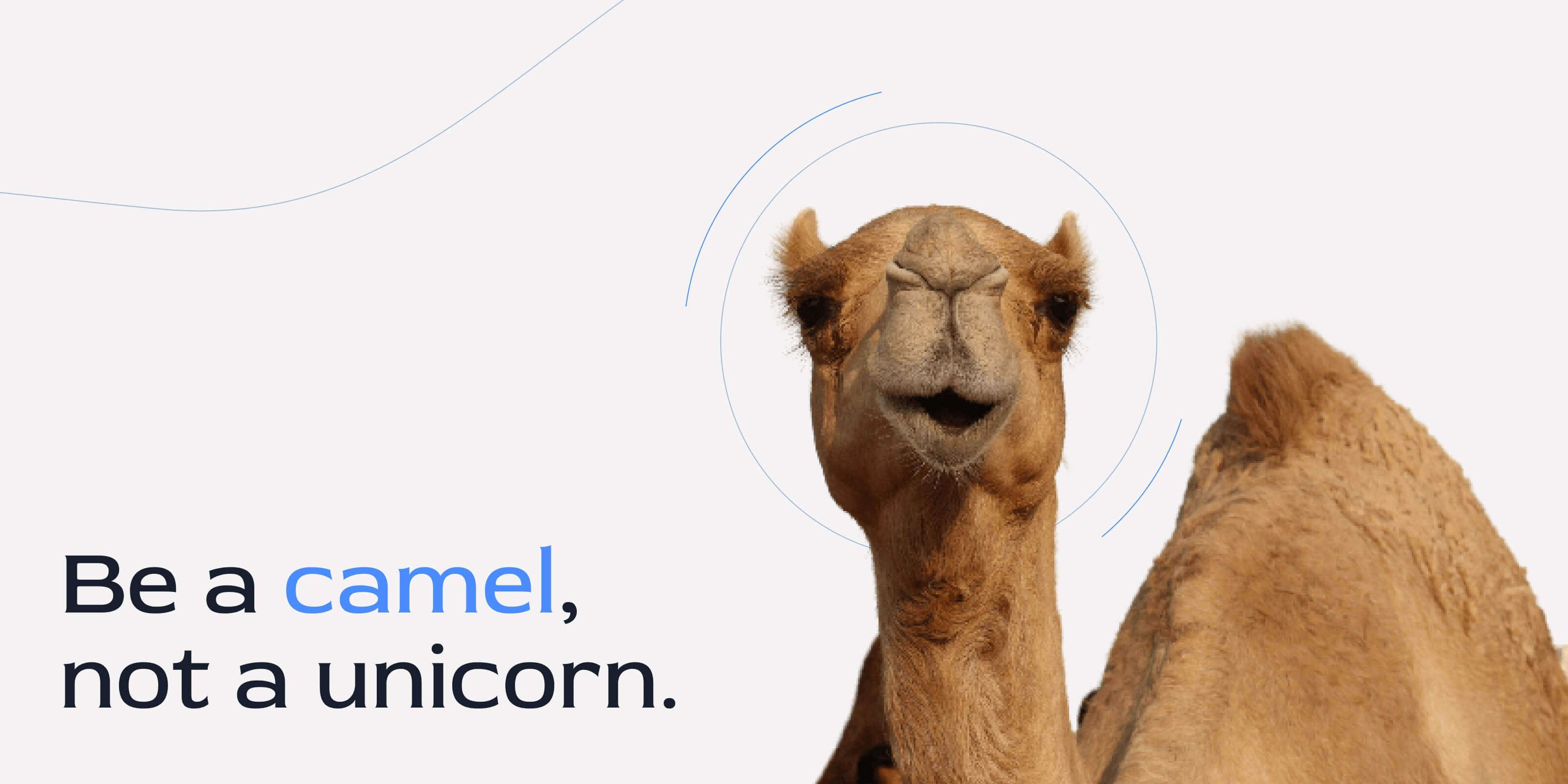Texto que dice: Sé un camello, no un unicornio. Al lado, una imagen de un camello.