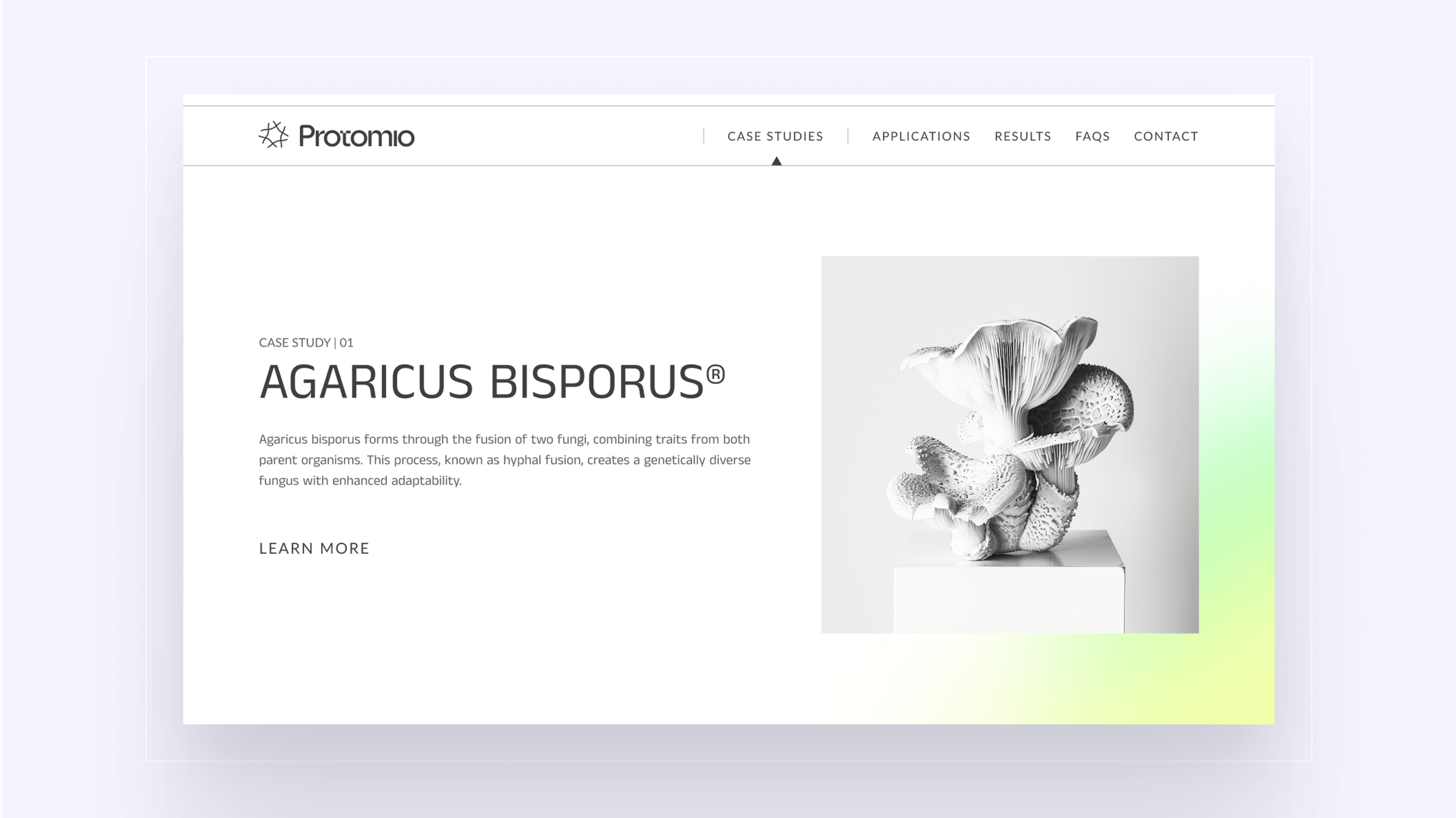 Protomio web 2