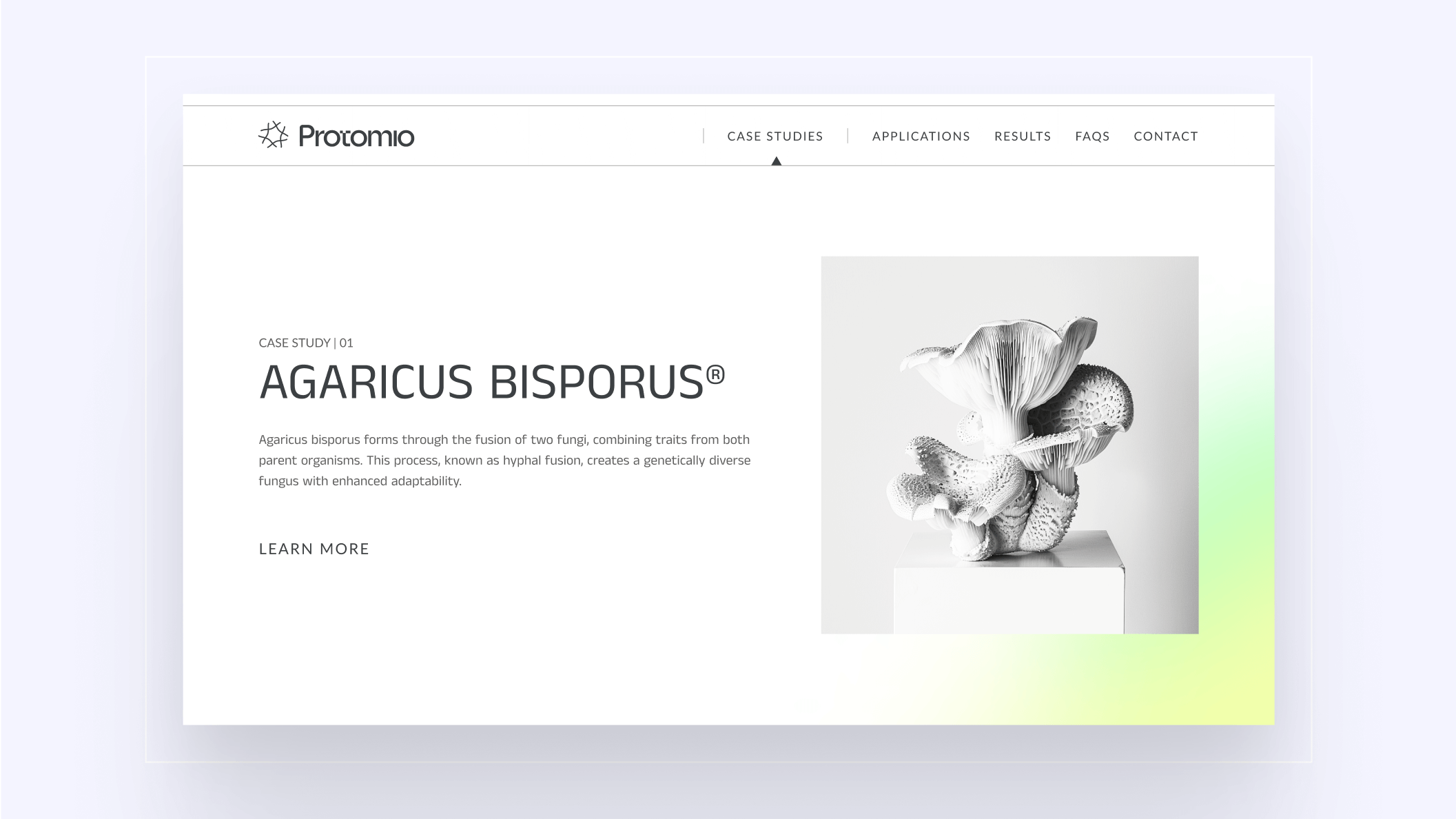 Protomio web 2